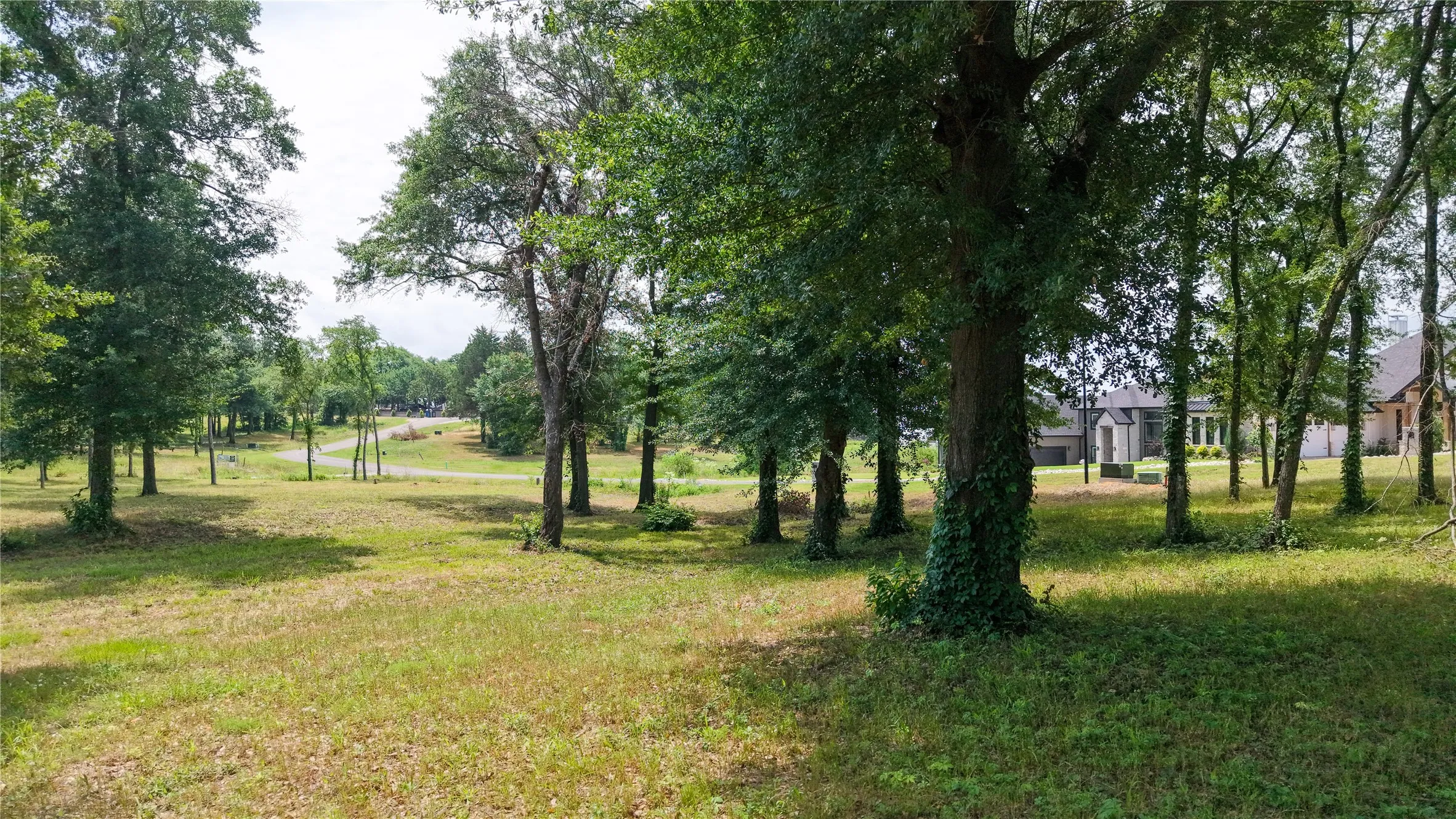 Well-maintained cleared lot with beautiful grassy areas and trees