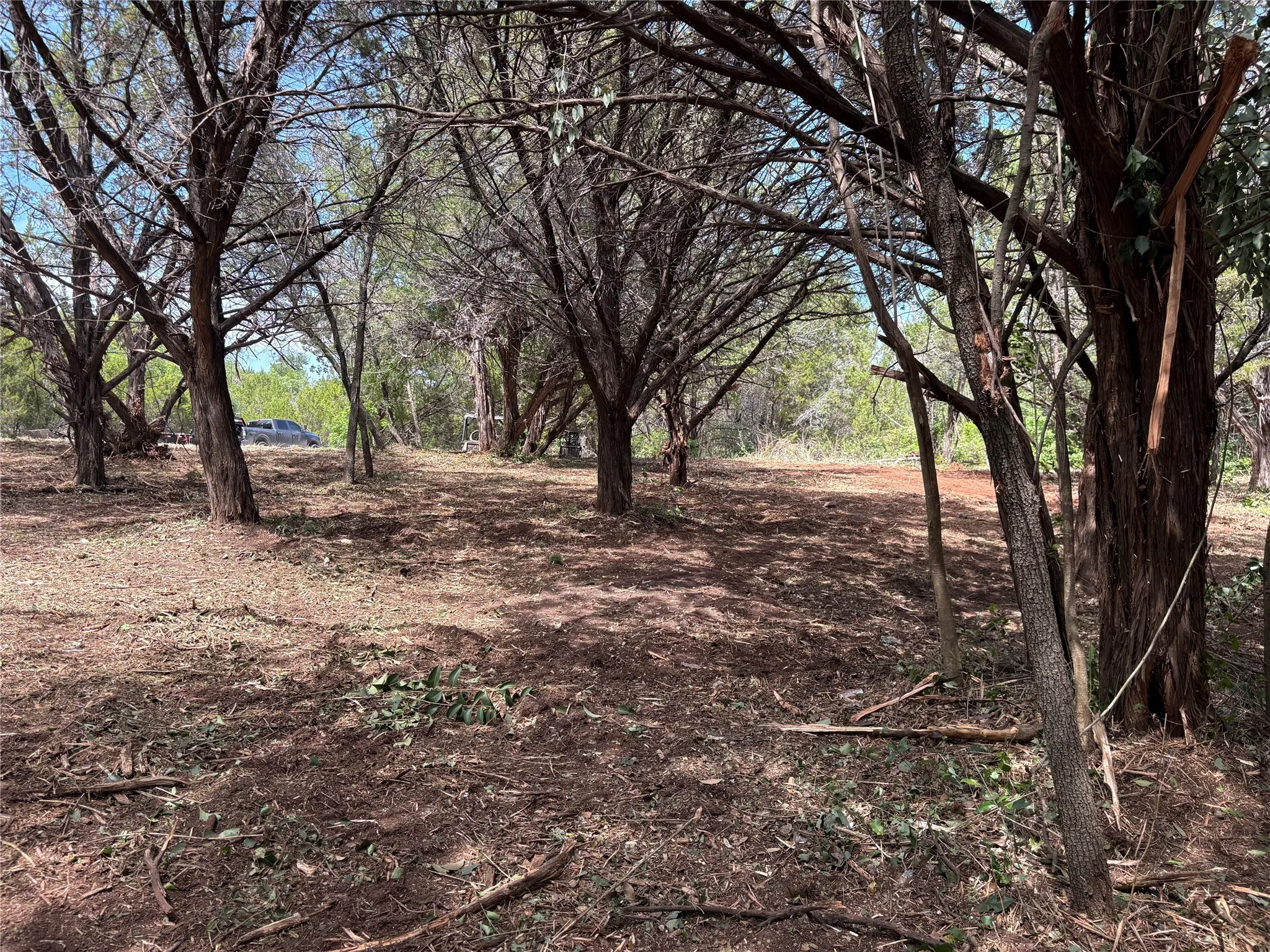 Wooded lot featuring mature trees and a cleared path