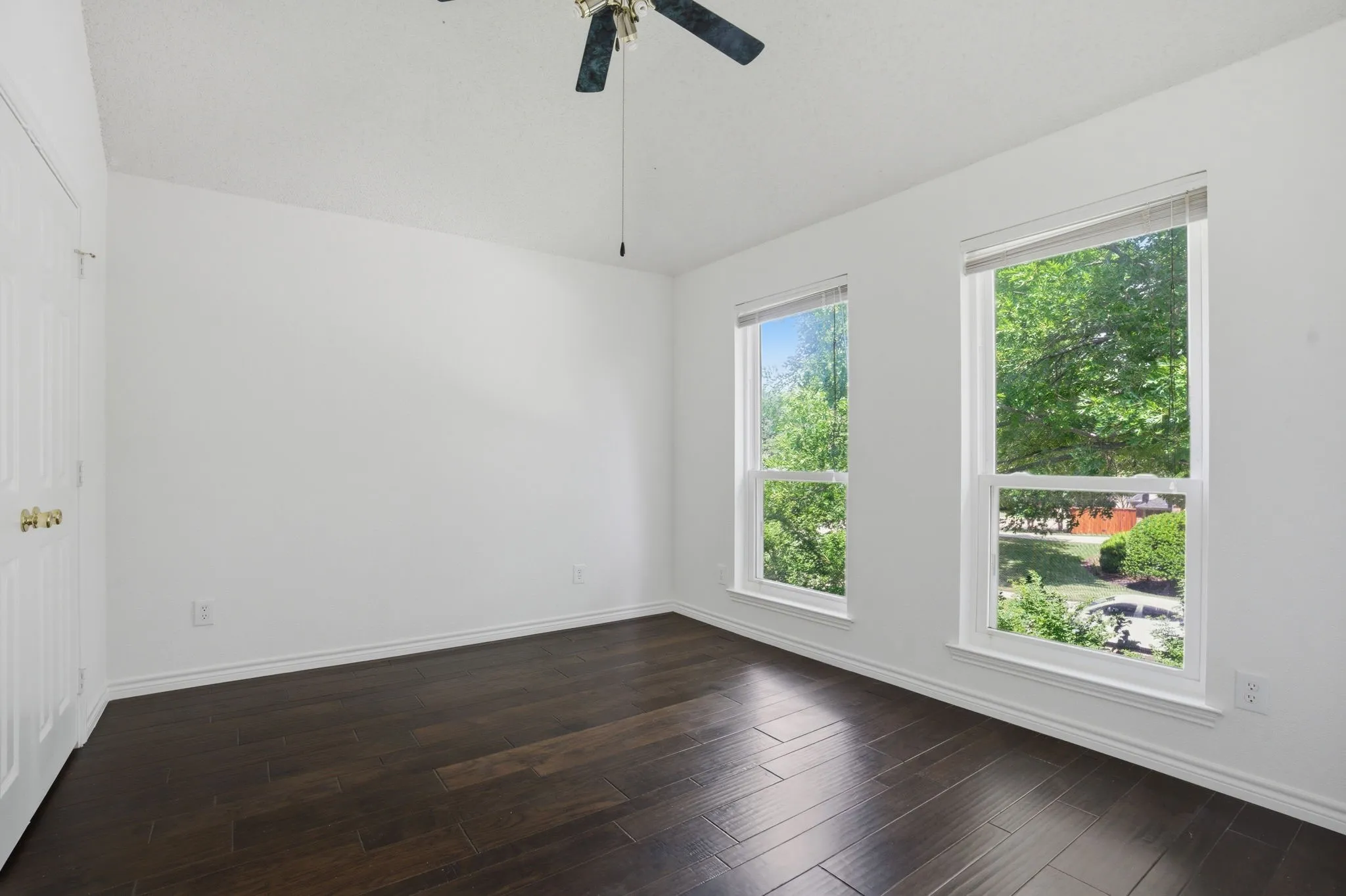 Bright interior space featuring dark wood-finish flooring, two large windows, white baseboards, and a ceiling fan