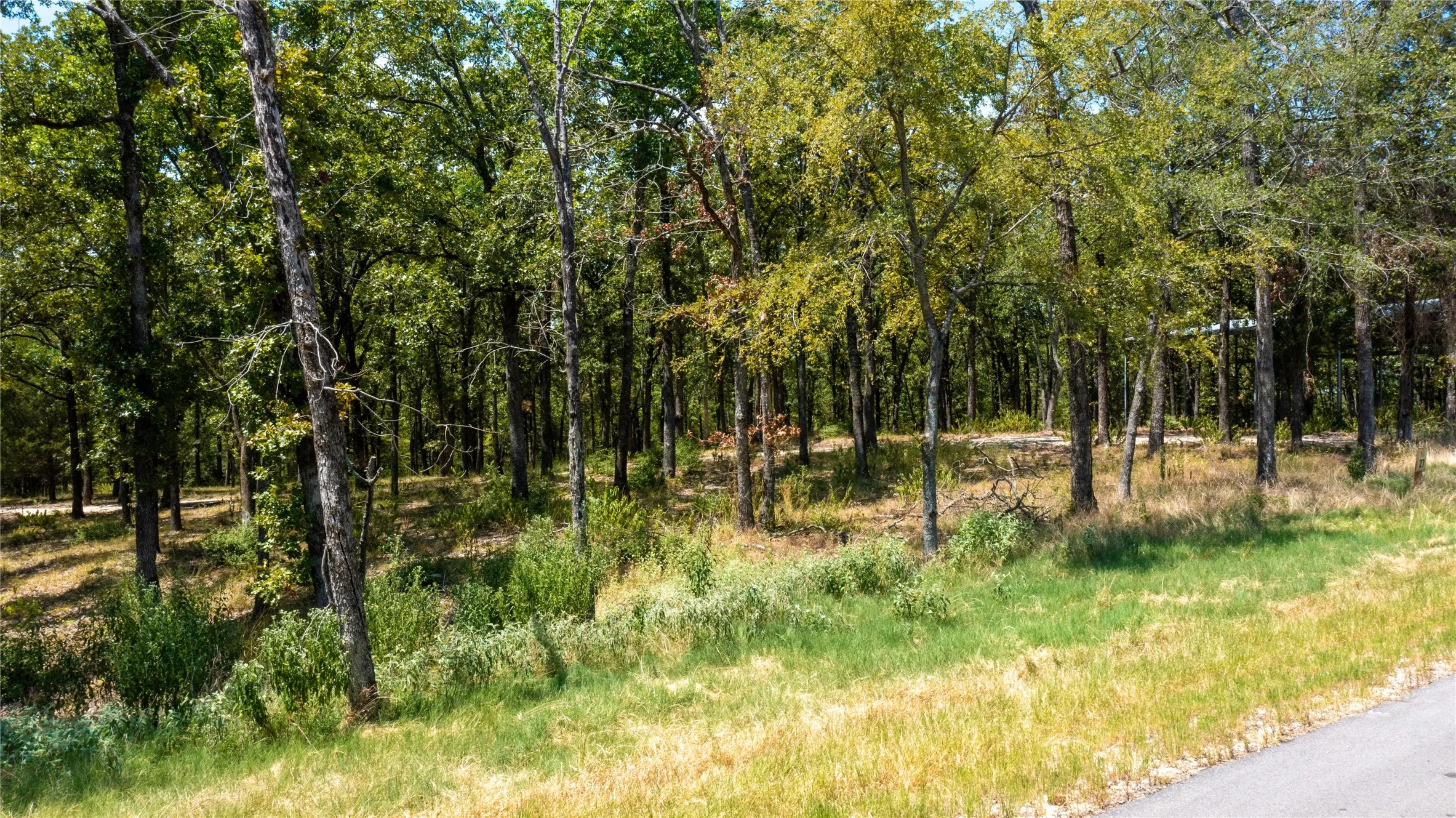 Unimproved Land For Sale in Henderson County , 7321 Ranch Oaks Trail, Eustace, Texas 75124, 0, 0, Garage spaces, 0 Sqft, built in 0, Price $159,900, mls#21259108, Real Estate Agent in Eustace, Homes For Sale in Henderson county, Homes For Sale in Eustace, Realtor in Eustace Texas, Real Estate Brokerage Independent Realty Texas, Luminita Cordes Realtor