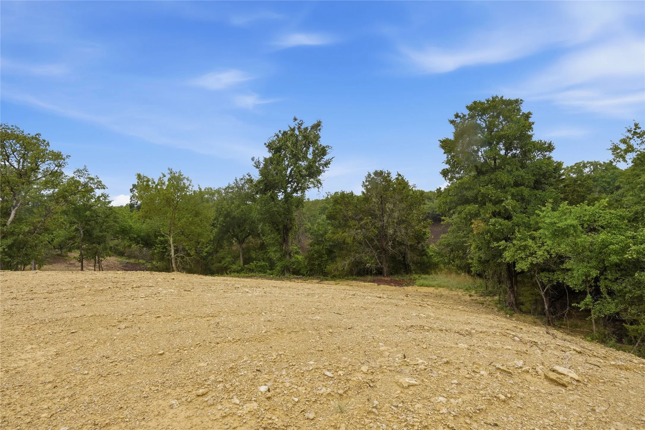 Cleared land parcel with a partial tree line and natural vegetation