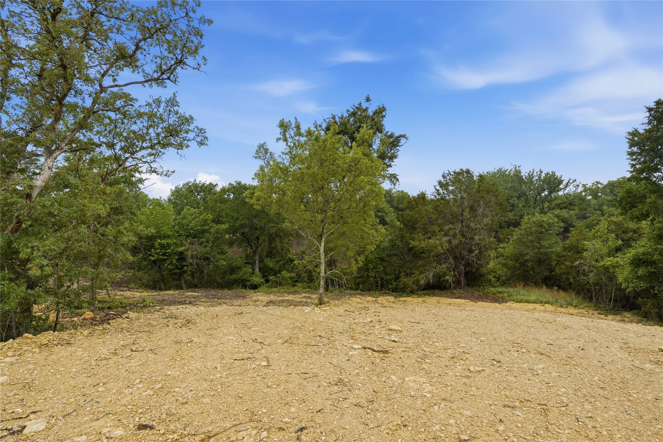 Cleared building site surrounded by mature trees