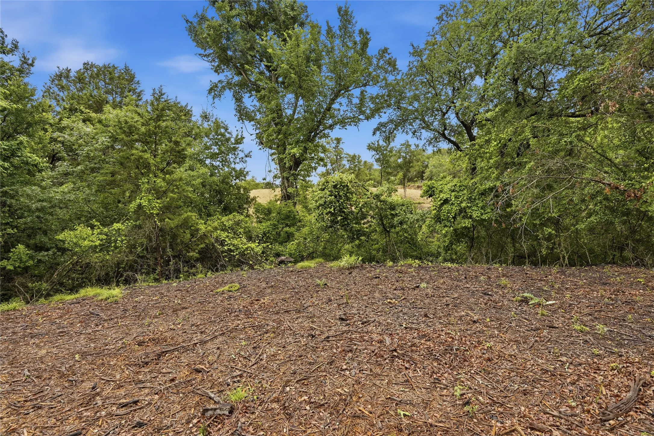 Expansive cleared lot surrounded by mature trees and natural landscaping
