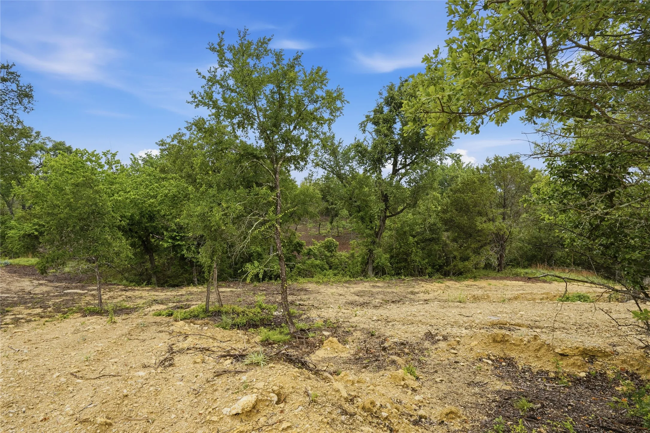 Expansive land parcel with cleared areas and mature trees