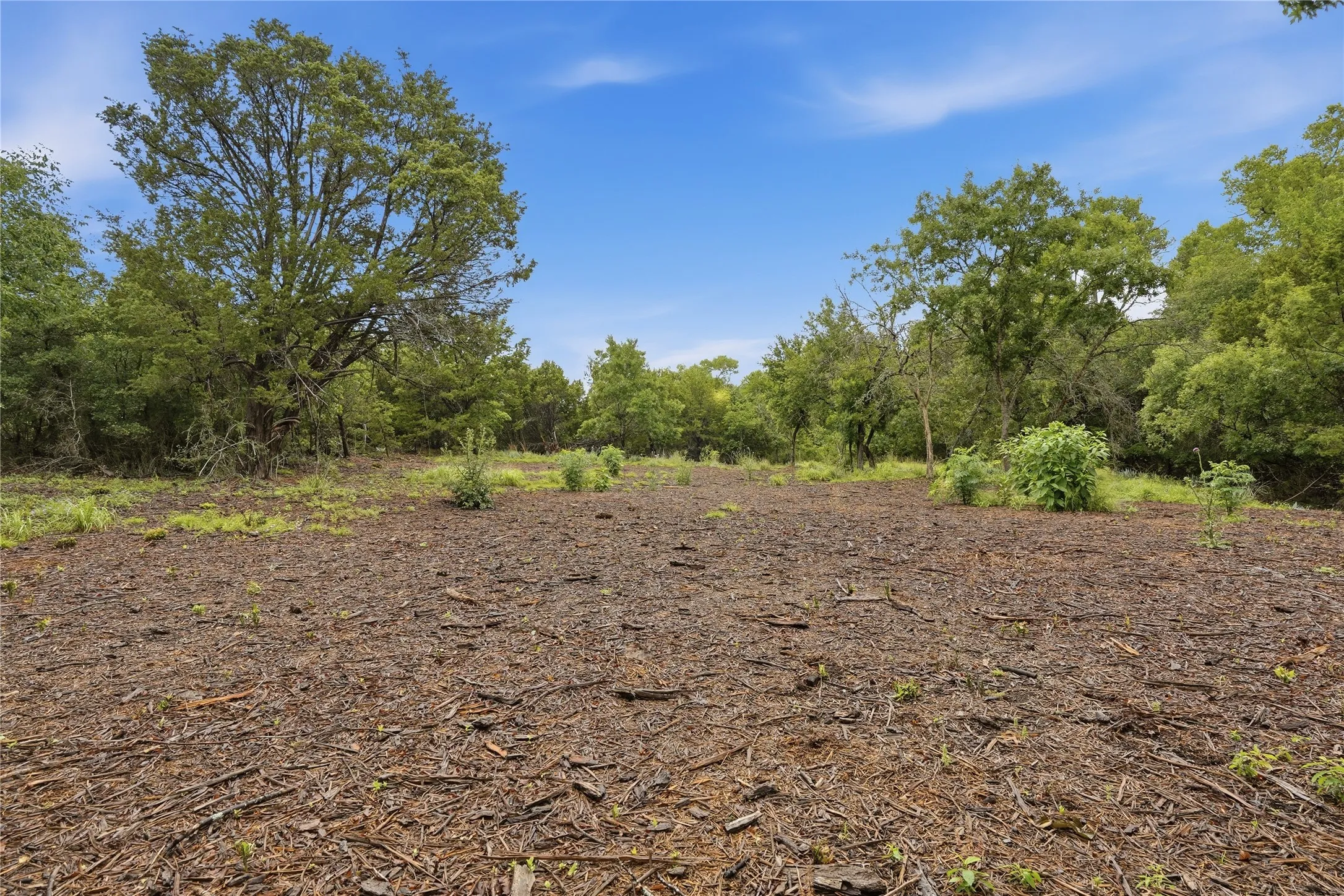 Expansive cleared lot with mature perimeter trees, surrounded by natural foliage