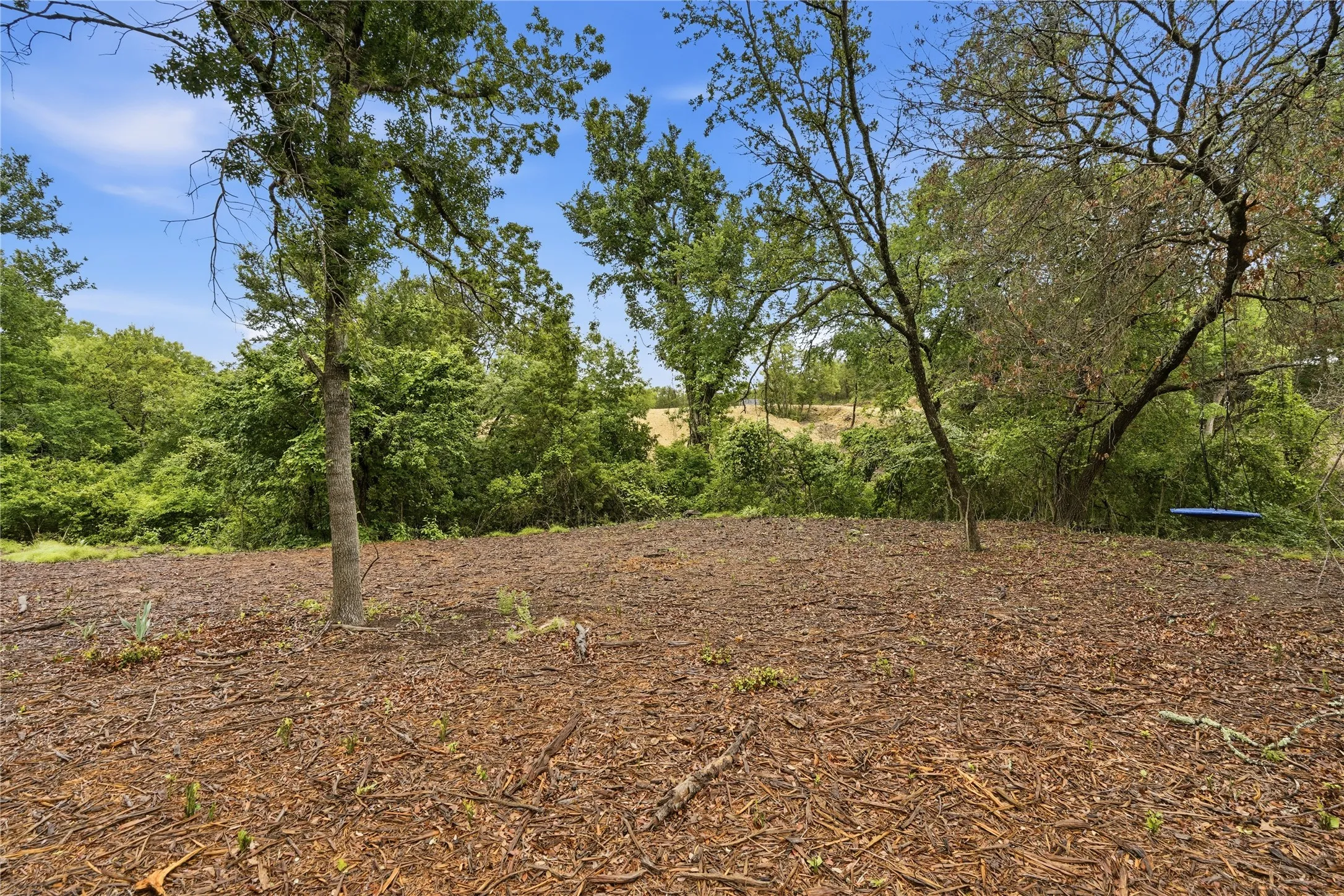 Expansive wooded lot featuring mature trees and natural ground cover