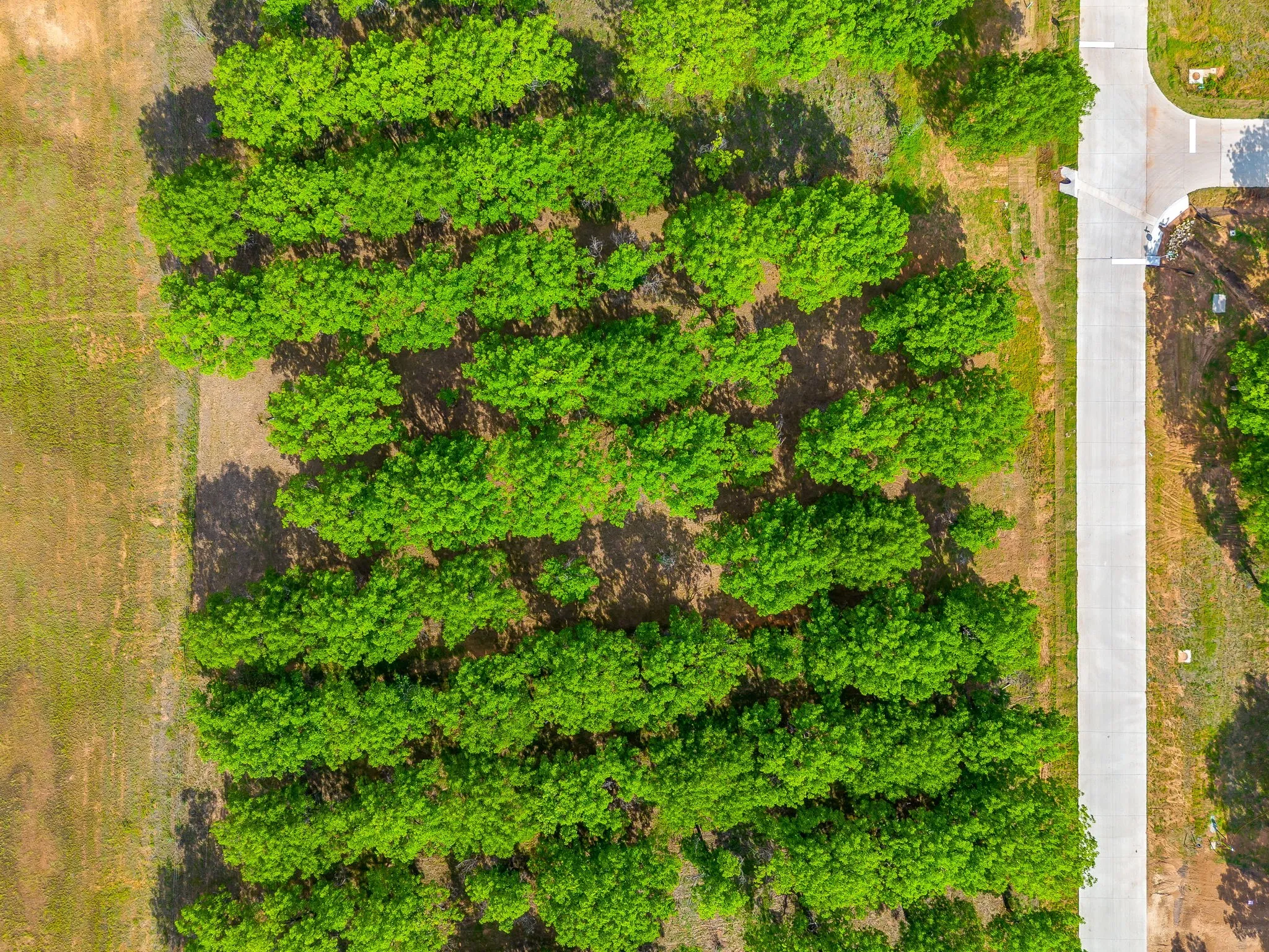 Improved Land For Sale in Hood County , 3101 E Landings S, Granbury, Texas 76049, 0, 0, Garage spaces, 0 Sqft, built in 0, mls#21278897, Real Estate Agent in Granbury, Homes For Sale in Hood county, Homes For Sale in Granbury, Realtor in Granbury Texas, Real Estate Brokerage Independent Realty Texas, Luminita Cordes Realtor