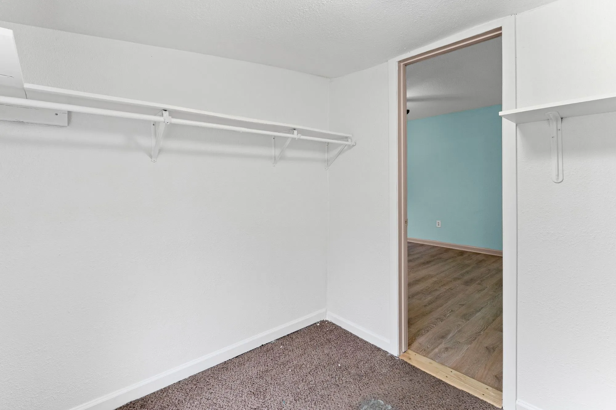 Walk-in closet with carpet flooring, white walls, and built-in shelving