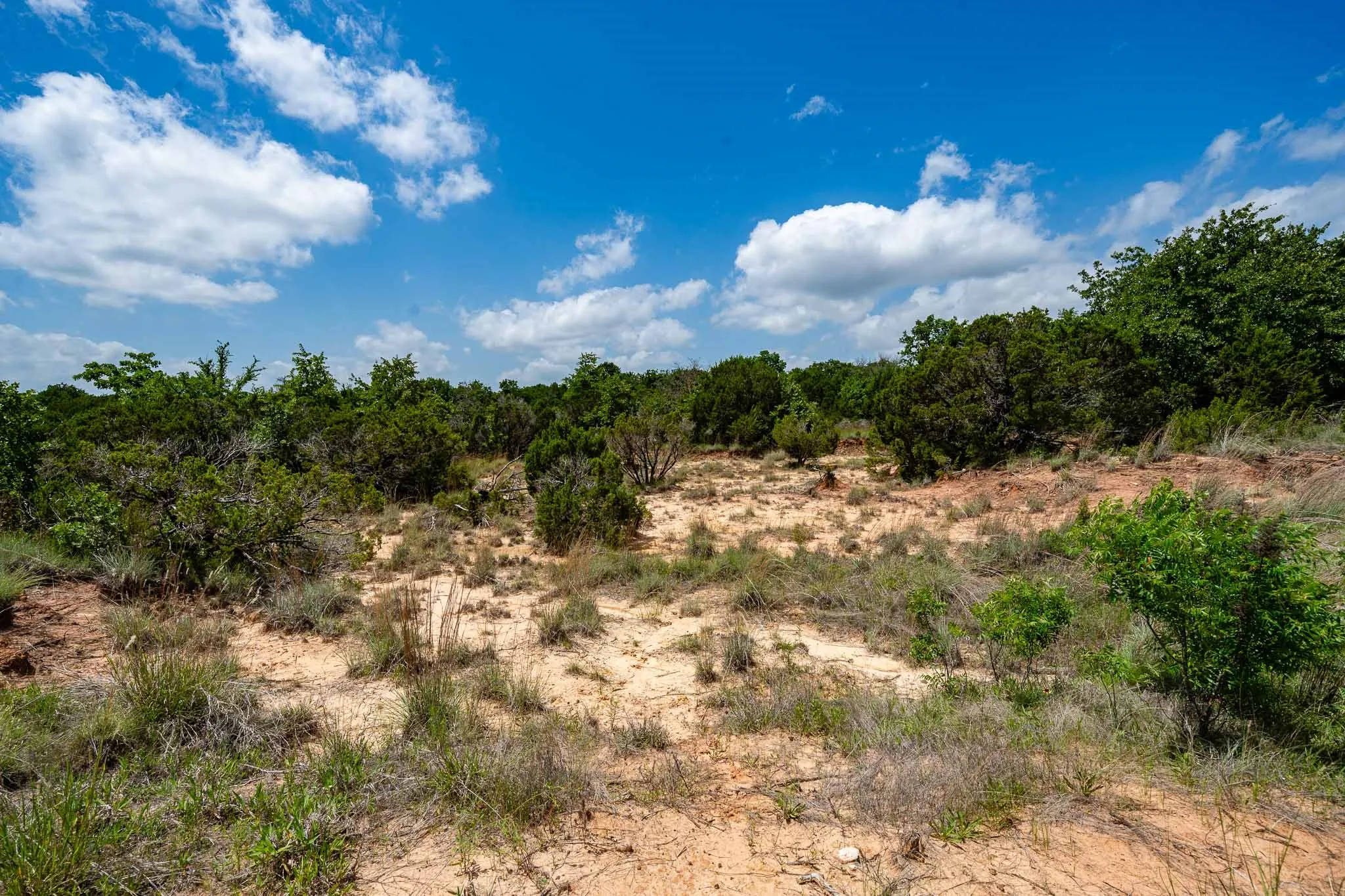 Ranch For Sale in Somervell County , TBD Fm 203, Glen Rose, Texas 76043, 0, 0, Garage spaces, 0 Sqft, built in 0, mls#21279930, Real Estate Agent in Glen Rose, Homes For Sale in Somervell county, Homes For Sale in Glen Rose, Realtor in Glen Rose Texas, Real Estate Brokerage Independent Realty Texas, Luminita Cordes Realtor