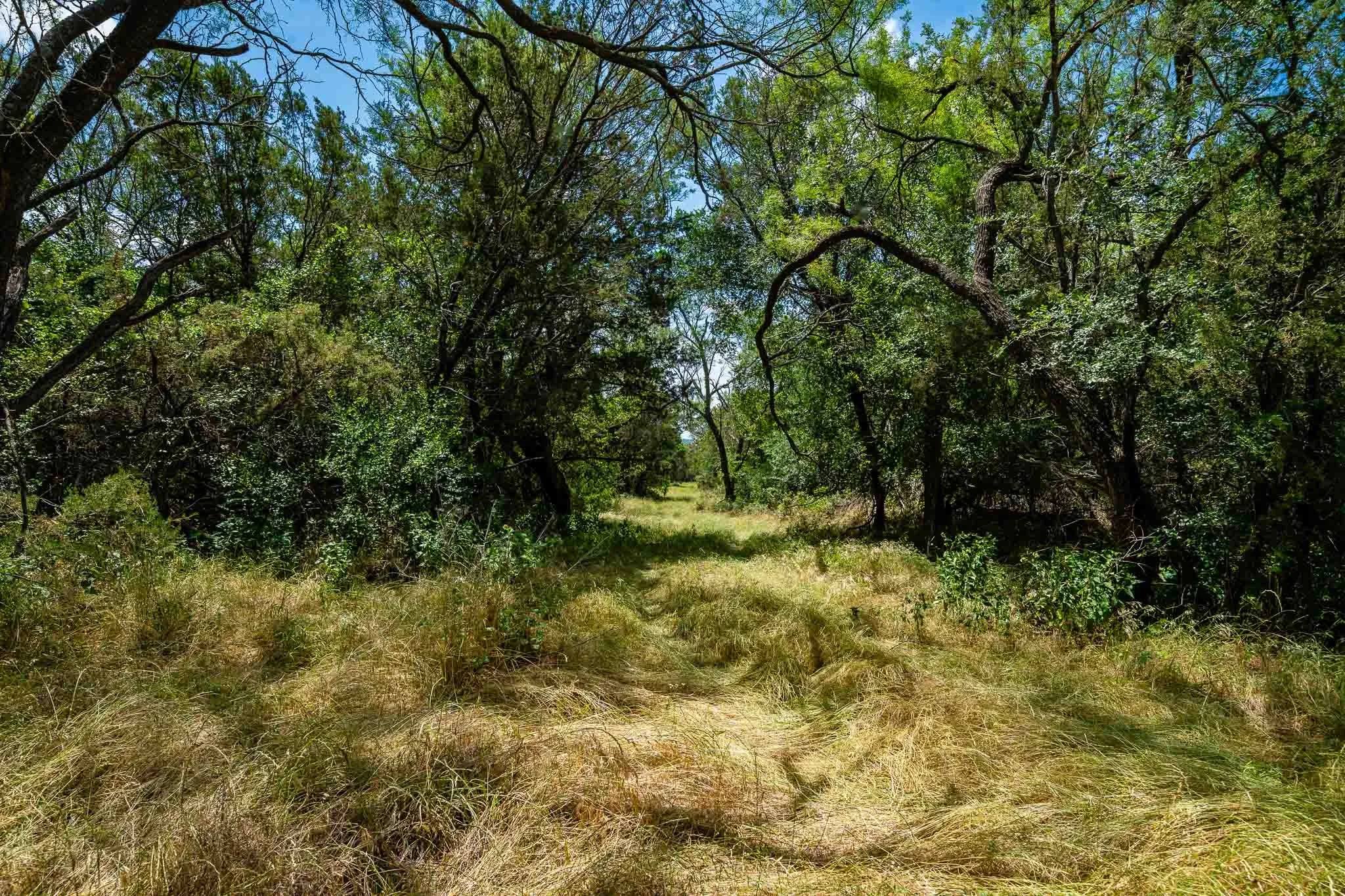 Ranch For Sale in Somervell County , TBD Fm 203, Glen Rose, Texas 76043, 0, 0, Garage spaces, 0 Sqft, built in 0, mls#21279930, Real Estate Agent in Glen Rose, Homes For Sale in Somervell county, Homes For Sale in Glen Rose, Realtor in Glen Rose Texas, Real Estate Brokerage Independent Realty Texas, Luminita Cordes Realtor
