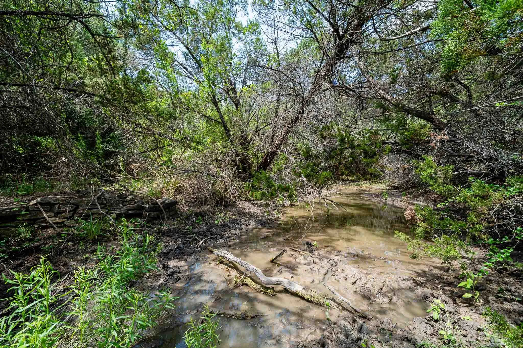 Ranch For Sale in Somervell County , TBD Fm 203, Glen Rose, Texas 76043, 0, 0, Garage spaces, 0 Sqft, built in 0, mls#21279930, Real Estate Agent in Glen Rose, Homes For Sale in Somervell county, Homes For Sale in Glen Rose, Realtor in Glen Rose Texas, Real Estate Brokerage Independent Realty Texas, Luminita Cordes Realtor