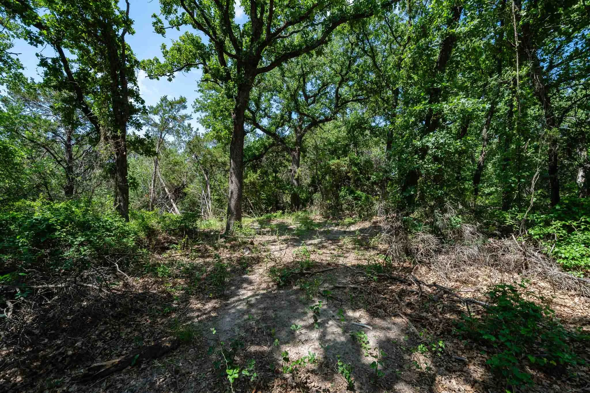 Ranch For Sale in Somervell County , TBD Fm 203, Glen Rose, Texas 76043, 0, 0, Garage spaces, 0 Sqft, built in 0, mls#21279930, Real Estate Agent in Glen Rose, Homes For Sale in Somervell county, Homes For Sale in Glen Rose, Realtor in Glen Rose Texas, Real Estate Brokerage Independent Realty Texas, Luminita Cordes Realtor