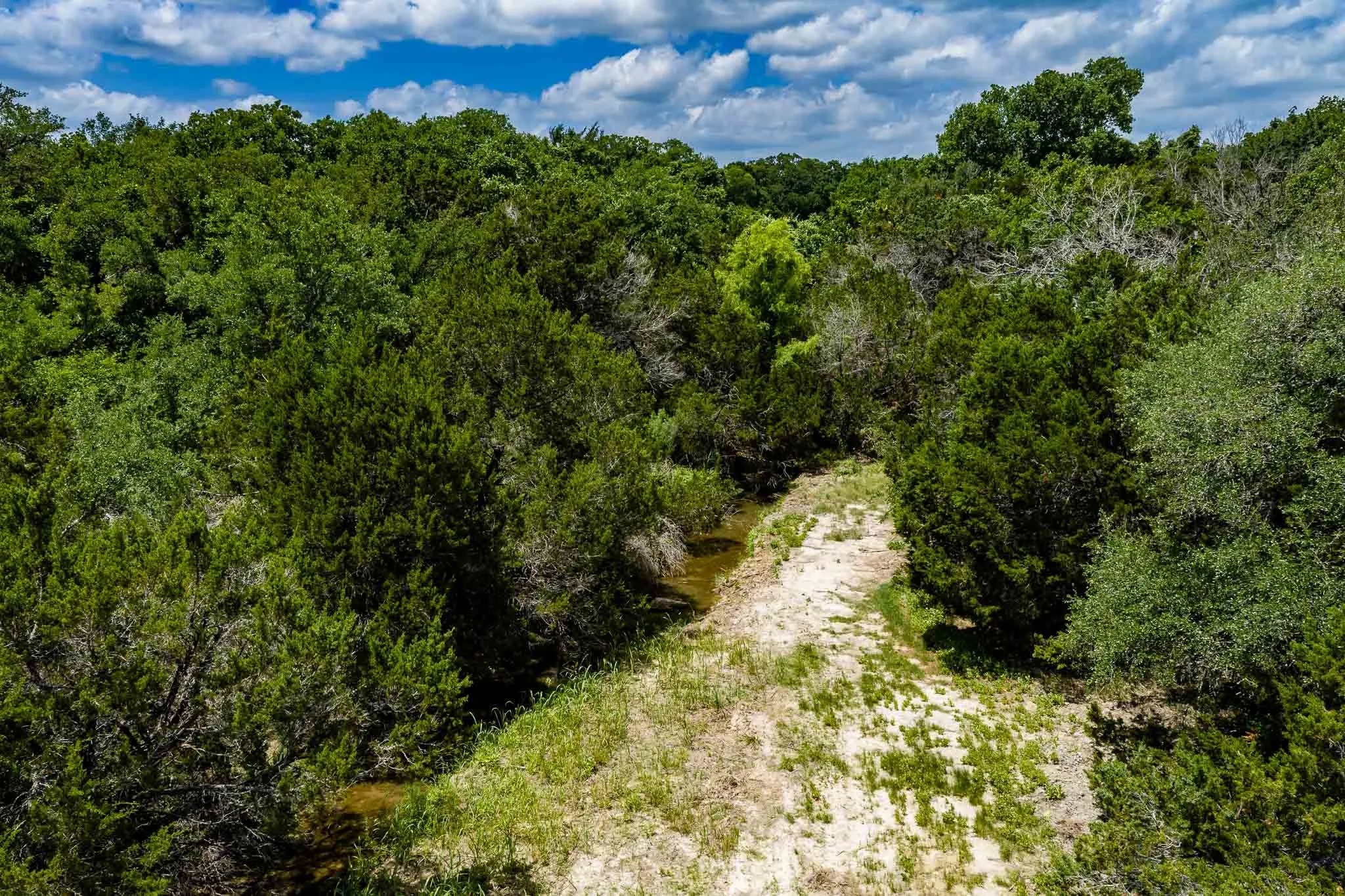 Ranch For Sale in Somervell County , TBD Fm 203, Glen Rose, Texas 76043, 0, 0, Garage spaces, 0 Sqft, built in 0, mls#21279930, Real Estate Agent in Glen Rose, Homes For Sale in Somervell county, Homes For Sale in Glen Rose, Realtor in Glen Rose Texas, Real Estate Brokerage Independent Realty Texas, Luminita Cordes Realtor