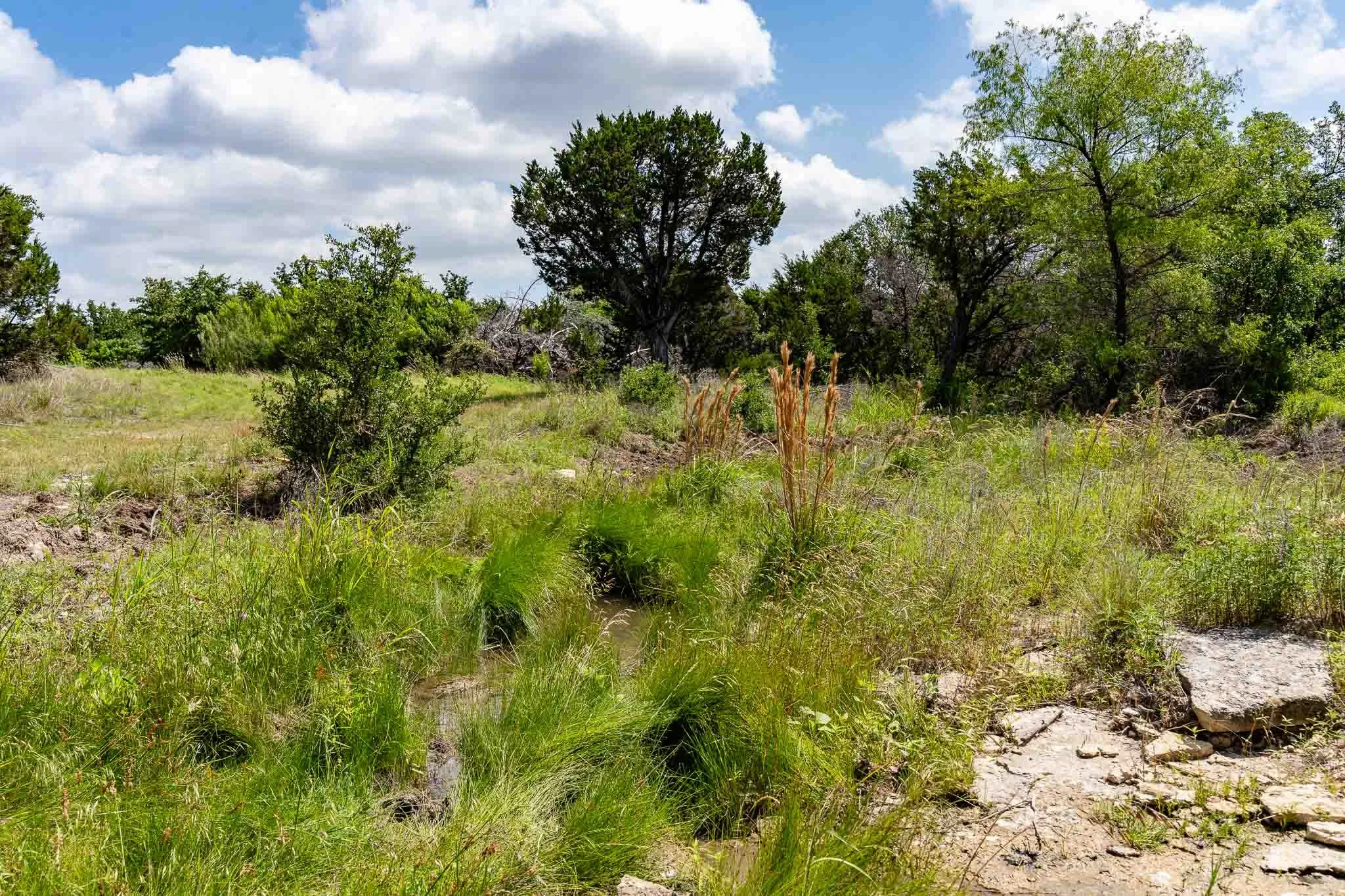 Ranch For Sale in Somervell County , TBD Fm 203, Glen Rose, Texas 76043, 0, 0, Garage spaces, 0 Sqft, built in 0, mls#21279930, Real Estate Agent in Glen Rose, Homes For Sale in Somervell county, Homes For Sale in Glen Rose, Realtor in Glen Rose Texas, Real Estate Brokerage Independent Realty Texas, Luminita Cordes Realtor