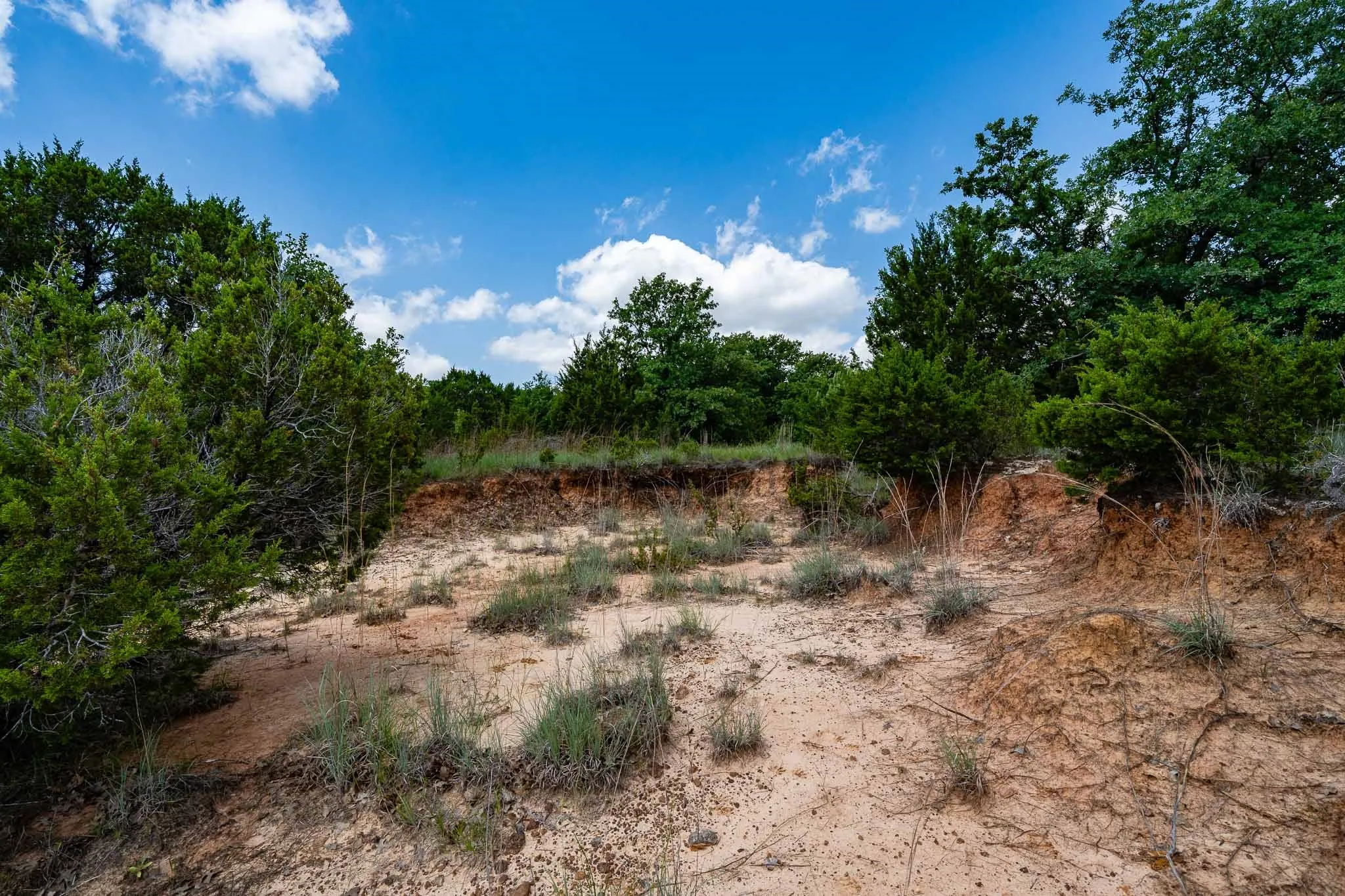 Ranch For Sale in Somervell County , TBD Fm 203, Glen Rose, Texas 76043, 0, 0, Garage spaces, 0 Sqft, built in 0, mls#21279930, Real Estate Agent in Glen Rose, Homes For Sale in Somervell county, Homes For Sale in Glen Rose, Realtor in Glen Rose Texas, Real Estate Brokerage Independent Realty Texas, Luminita Cordes Realtor
