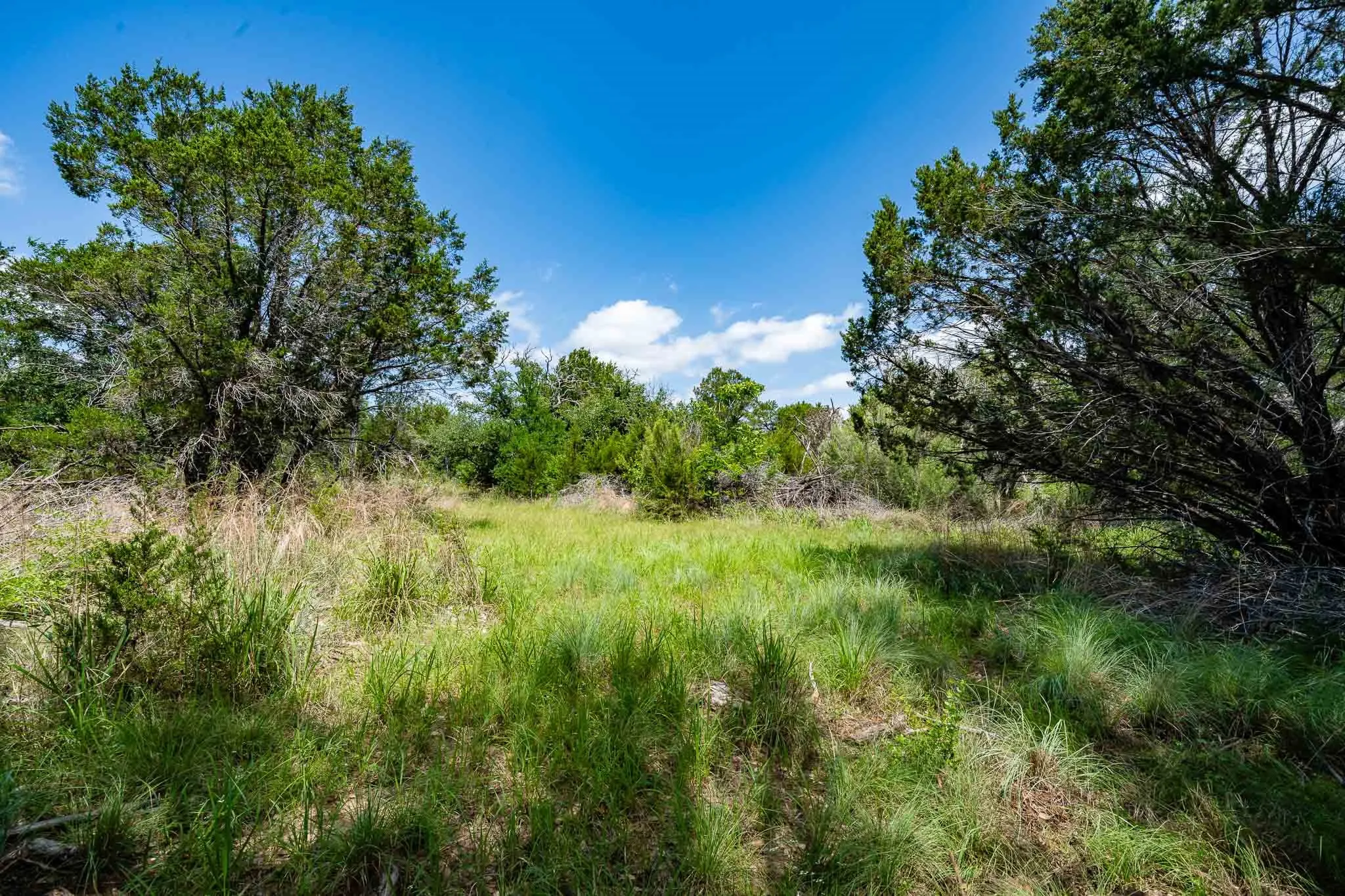 Ranch For Sale in Somervell County , TBD Fm 203, Glen Rose, Texas 76043, 0, 0, Garage spaces, 0 Sqft, built in 0, mls#21279930, Real Estate Agent in Glen Rose, Homes For Sale in Somervell county, Homes For Sale in Glen Rose, Realtor in Glen Rose Texas, Real Estate Brokerage Independent Realty Texas, Luminita Cordes Realtor