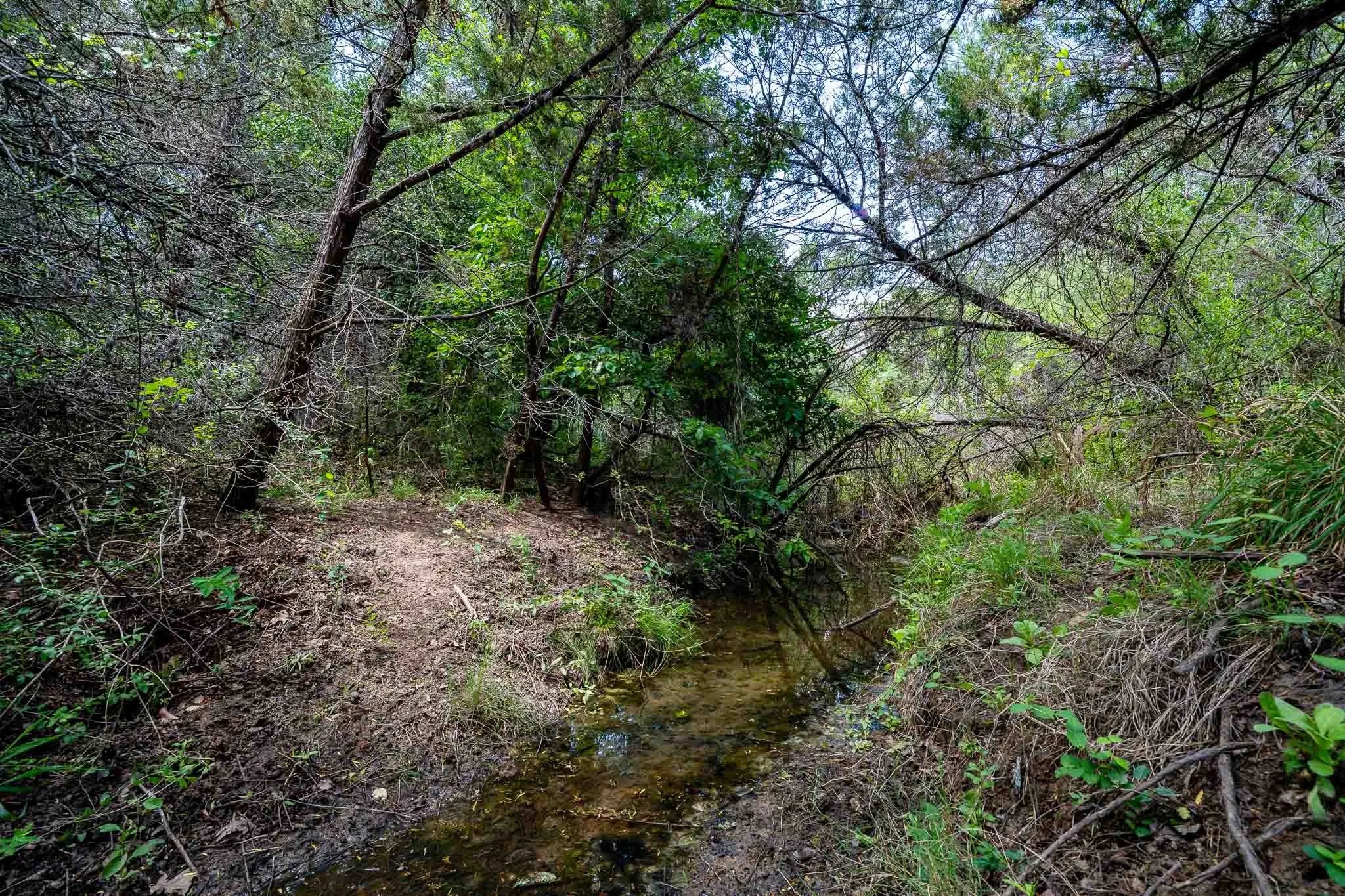 Ranch For Sale in Somervell County , TBD Fm 203, Glen Rose, Texas 76043, 0, 0, Garage spaces, 0 Sqft, built in 0, mls#21279930, Real Estate Agent in Glen Rose, Homes For Sale in Somervell county, Homes For Sale in Glen Rose, Realtor in Glen Rose Texas, Real Estate Brokerage Independent Realty Texas, Luminita Cordes Realtor