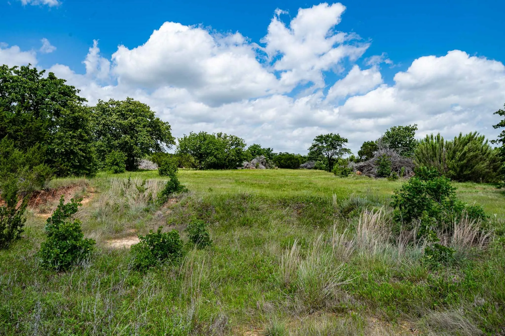 Ranch For Sale in Somervell County , TBD Fm 203, Glen Rose, Texas 76043, 0, 0, Garage spaces, 0 Sqft, built in 0, mls#21279930, Real Estate Agent in Glen Rose, Homes For Sale in Somervell county, Homes For Sale in Glen Rose, Realtor in Glen Rose Texas, Real Estate Brokerage Independent Realty Texas, Luminita Cordes Realtor