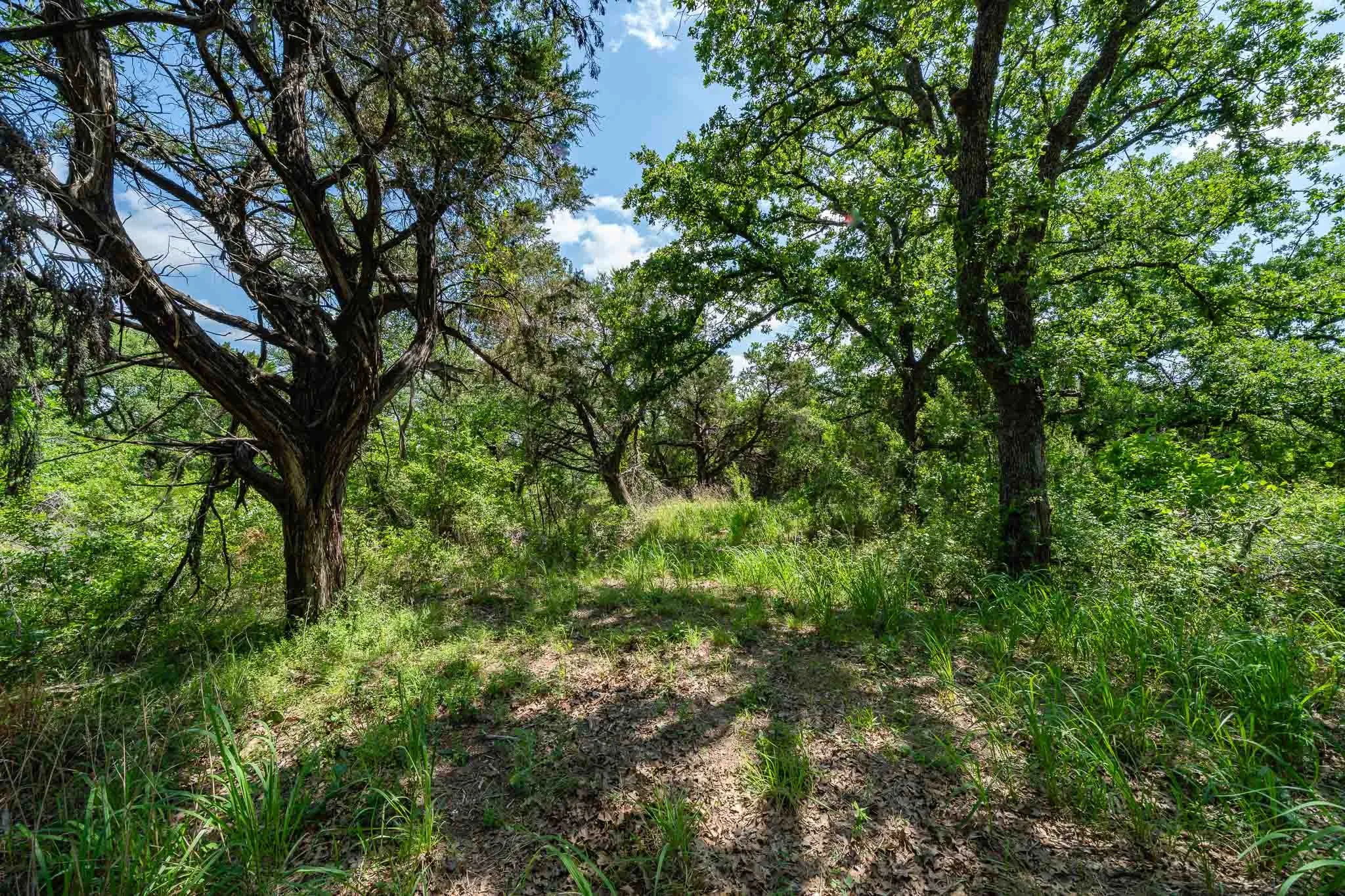 Ranch For Sale in Somervell County , TBD Fm 203, Glen Rose, Texas 76043, 0, 0, Garage spaces, 0 Sqft, built in 0, mls#21279930, Real Estate Agent in Glen Rose, Homes For Sale in Somervell county, Homes For Sale in Glen Rose, Realtor in Glen Rose Texas, Real Estate Brokerage Independent Realty Texas, Luminita Cordes Realtor