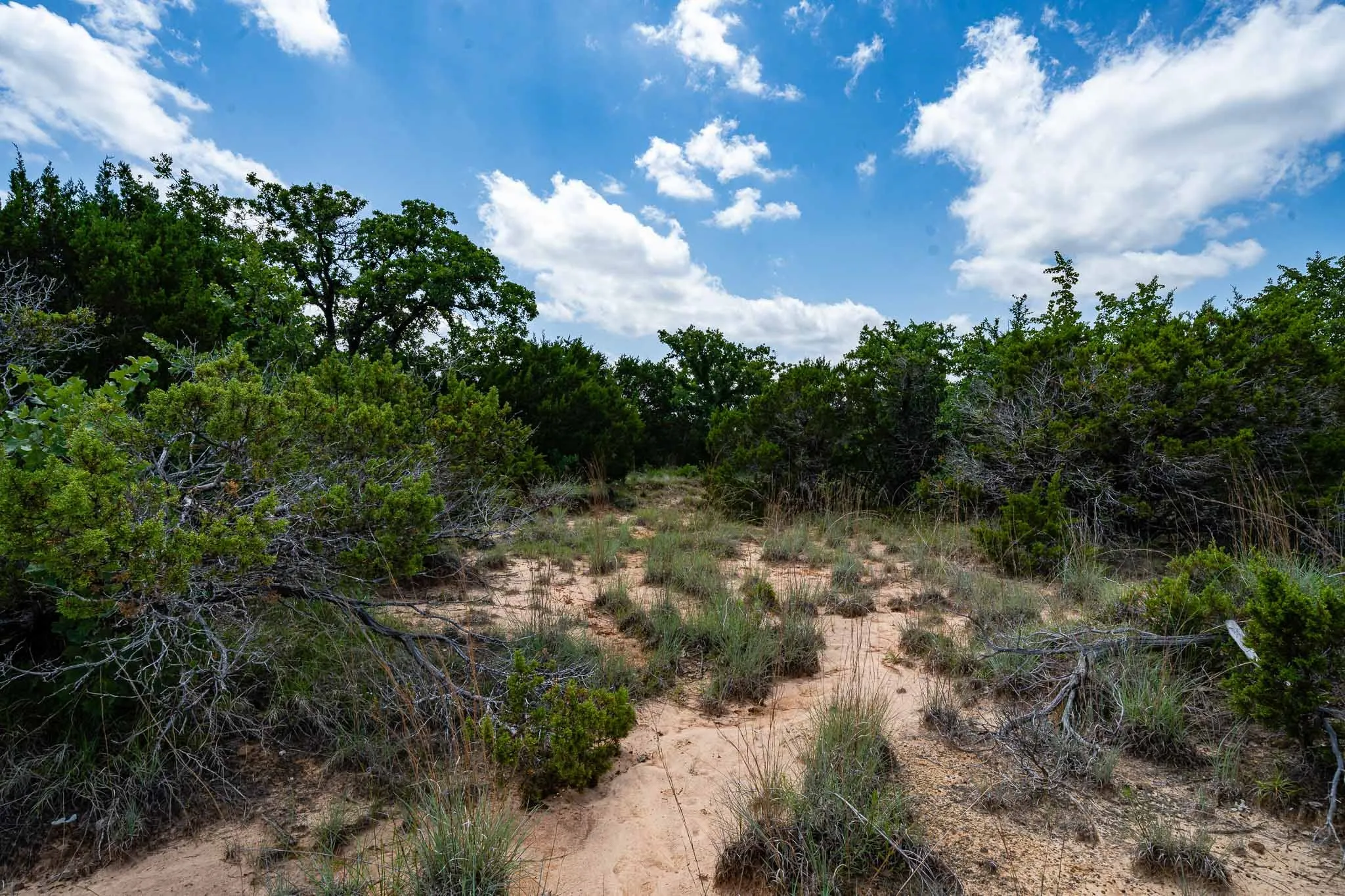 Ranch For Sale in Somervell County , TBD Fm 203, Glen Rose, Texas 76043, 0, 0, Garage spaces, 0 Sqft, built in 0, mls#21279930, Real Estate Agent in Glen Rose, Homes For Sale in Somervell county, Homes For Sale in Glen Rose, Realtor in Glen Rose Texas, Real Estate Brokerage Independent Realty Texas, Luminita Cordes Realtor