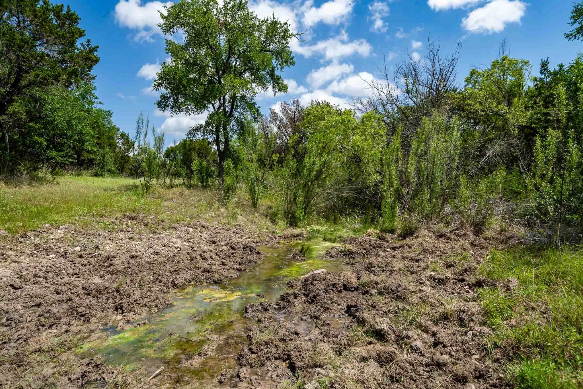 Ranch For Sale in Somervell County , TBD Fm 203, Glen Rose, Texas 76043, 0, 0, Garage spaces, 0 Sqft, built in 0, mls#21279930, Real Estate Agent in Glen Rose, Homes For Sale in Somervell county, Homes For Sale in Glen Rose, Realtor in Glen Rose Texas, Real Estate Brokerage Independent Realty Texas, Luminita Cordes Realtor