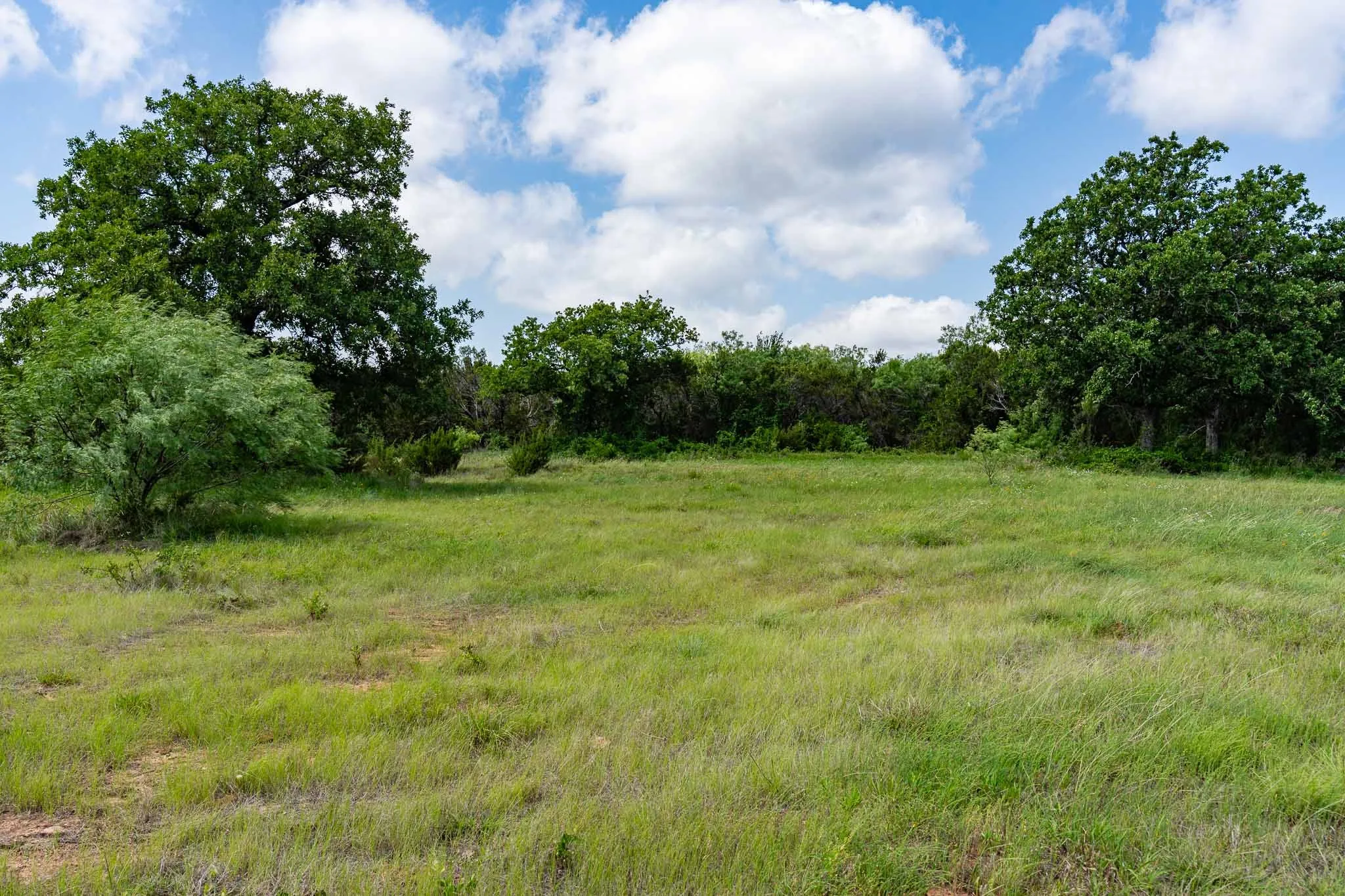Ranch For Sale in Somervell County , TBD Fm 203, Glen Rose, Texas 76043, 0, 0, Garage spaces, 0 Sqft, built in 0, mls#21279930, Real Estate Agent in Glen Rose, Homes For Sale in Somervell county, Homes For Sale in Glen Rose, Realtor in Glen Rose Texas, Real Estate Brokerage Independent Realty Texas, Luminita Cordes Realtor