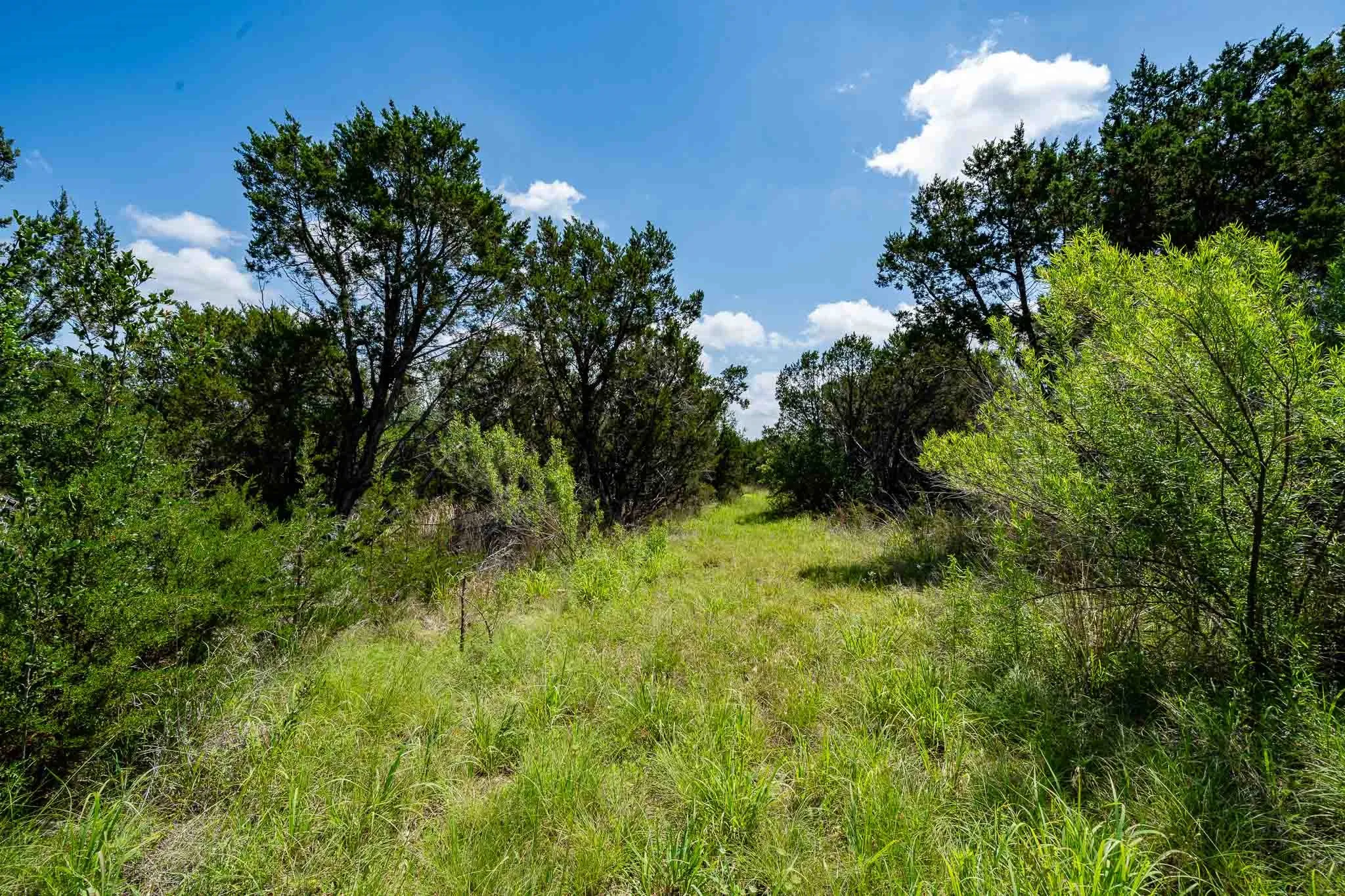Ranch For Sale in Somervell County , TBD Fm 203, Glen Rose, Texas 76043, 0, 0, Garage spaces, 0 Sqft, built in 0, mls#21279930, Real Estate Agent in Glen Rose, Homes For Sale in Somervell county, Homes For Sale in Glen Rose, Realtor in Glen Rose Texas, Real Estate Brokerage Independent Realty Texas, Luminita Cordes Realtor