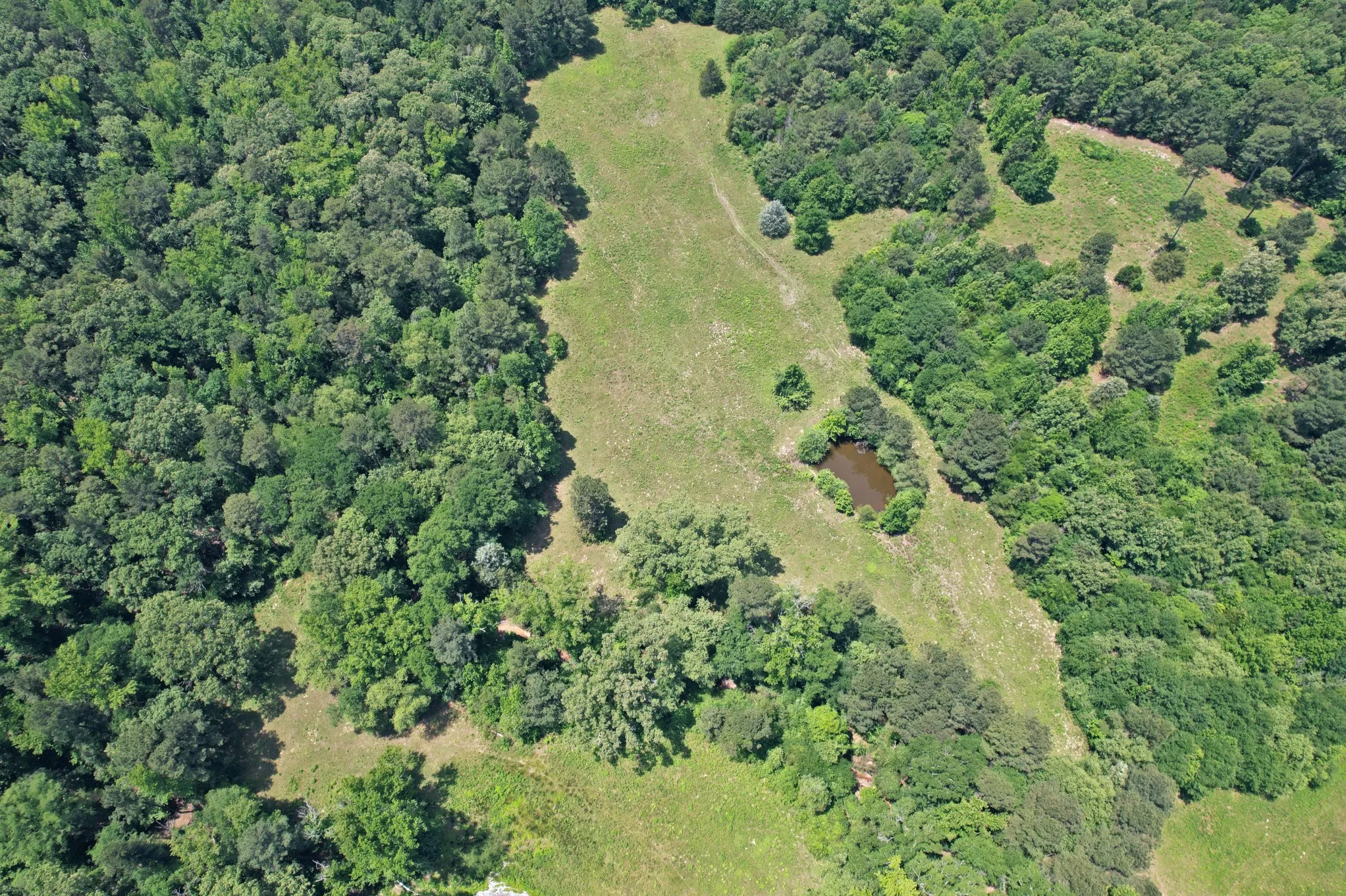 Farm For Sale in Wood County , 258 County Road 3199, Winnsboro, Texas 75494, 3 Bedroom, 2 Bathroom, Garage spaces, 1,705 Sqft, built in 1985, mls#21274048, Real Estate Agent in Winnsboro, Homes For Sale in Wood county, Homes For Sale in Winnsboro, Realtor in Winnsboro Texas, Real Estate Brokerage Independent Realty Texas, Luminita Cordes Realtor