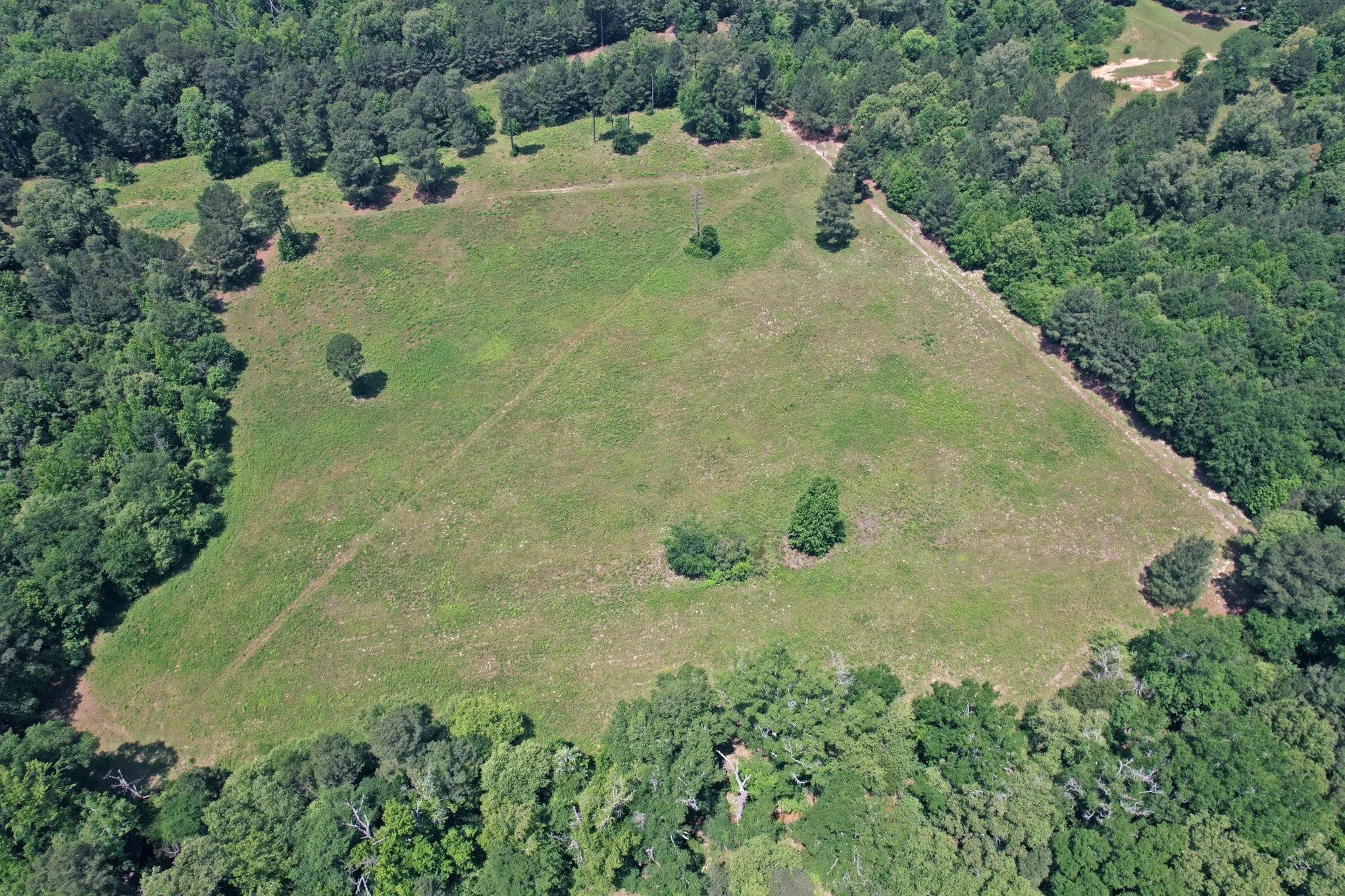 Farm For Sale in Wood County , 258 County Road 3199, Winnsboro, Texas 75494, 3 Bedroom, 2 Bathroom, Garage spaces, 1,705 Sqft, built in 1985, mls#21274048, Real Estate Agent in Winnsboro, Homes For Sale in Wood county, Homes For Sale in Winnsboro, Realtor in Winnsboro Texas, Real Estate Brokerage Independent Realty Texas, Luminita Cordes Realtor
