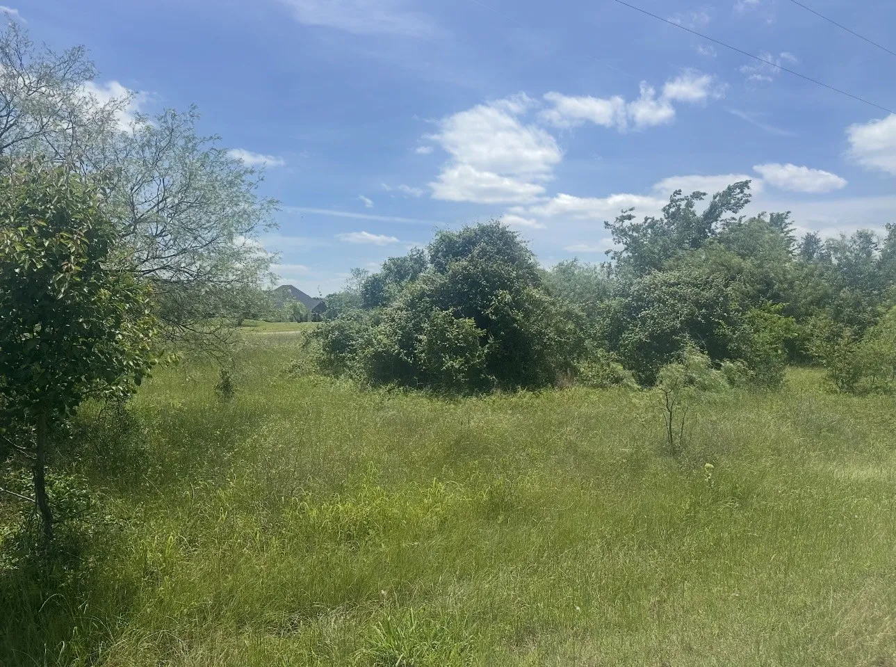 Unimproved Land For Sale in Hill County , 23142 Greenbriar Drive, Whitney, Texas 76692, 0, 0, Garage spaces, 0 Sqft, built in 0, Price $35,000, mls#21279537, Real Estate Agent in Whitney, Homes For Sale in Hill county, Homes For Sale in Whitney, Realtor in Whitney Texas, Real Estate Brokerage Independent Realty Texas, Luminita Cordes Realtor