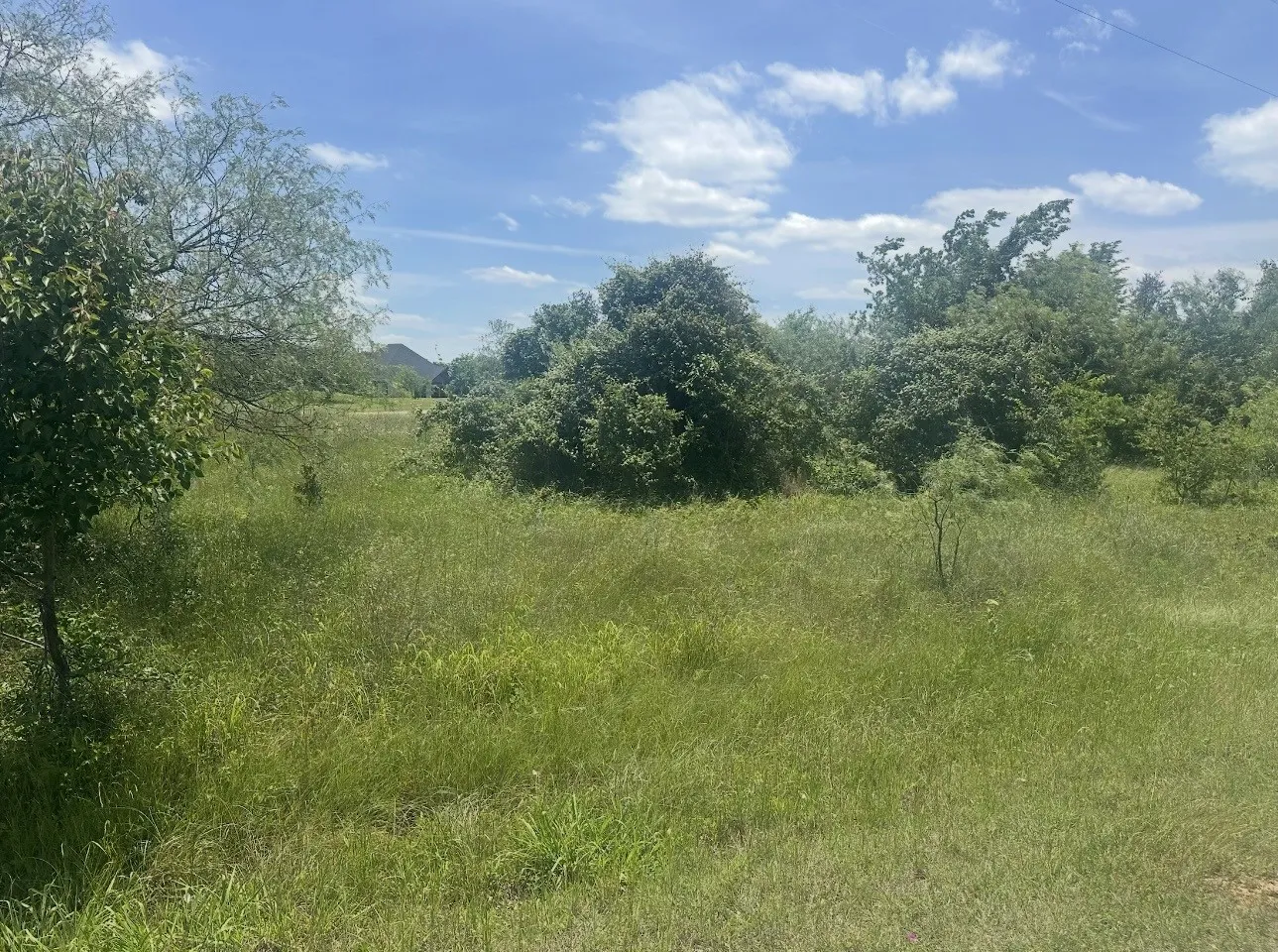 Unimproved Land For Sale in Hill County , 23142 Greenbriar Drive, Whitney, Texas 76692, 0, 0, Garage spaces, 0 Sqft, built in 0, Price $35,000, mls#21279537, Real Estate Agent in Whitney, Homes For Sale in Hill county, Homes For Sale in Whitney, Realtor in Whitney Texas, Real Estate Brokerage Independent Realty Texas, Luminita Cordes Realtor