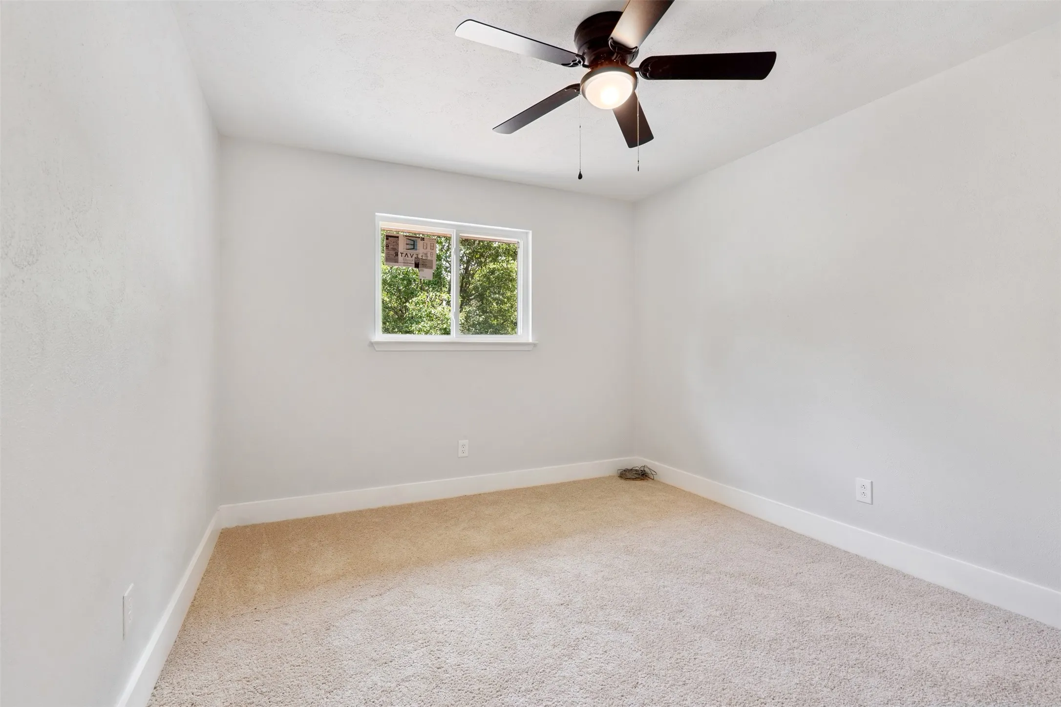 Neutral-toned carpeting, white baseboards, and a white-framed window