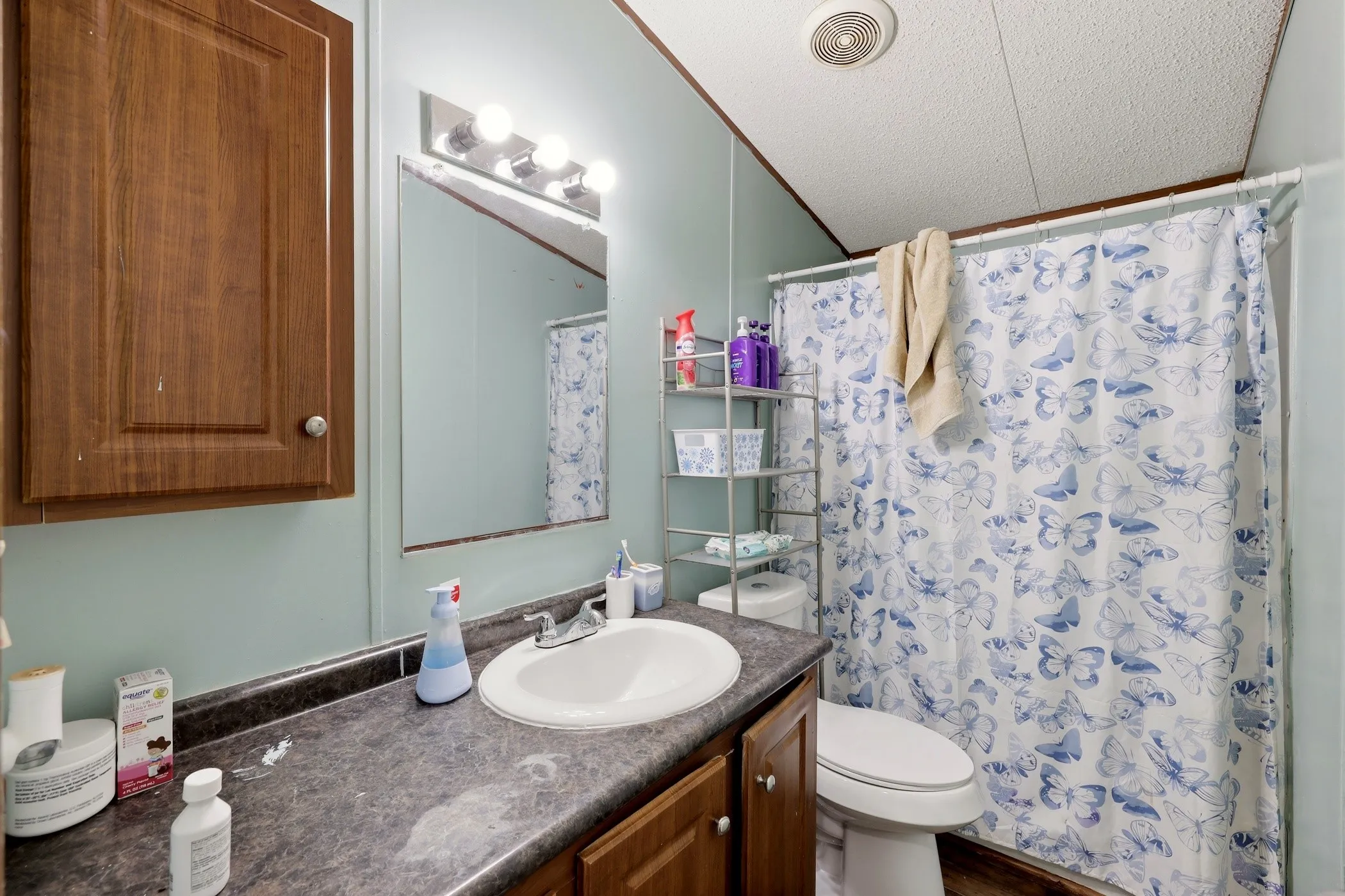 Mobile Home For Sale in Anderson County , 6194 Fm 19, Palestine, Texas 75803, 3 Bedroom, 2 Bathroom, Garage spaces, 1,178 Sqft, built in 2017, mls#21275686, Real Estate Agent in Palestine, Homes For Sale in Anderson county, Homes For Sale in Palestine, Realtor in Palestine Texas, Real Estate Brokerage Independent Realty Texas, Luminita Cordes Realtor