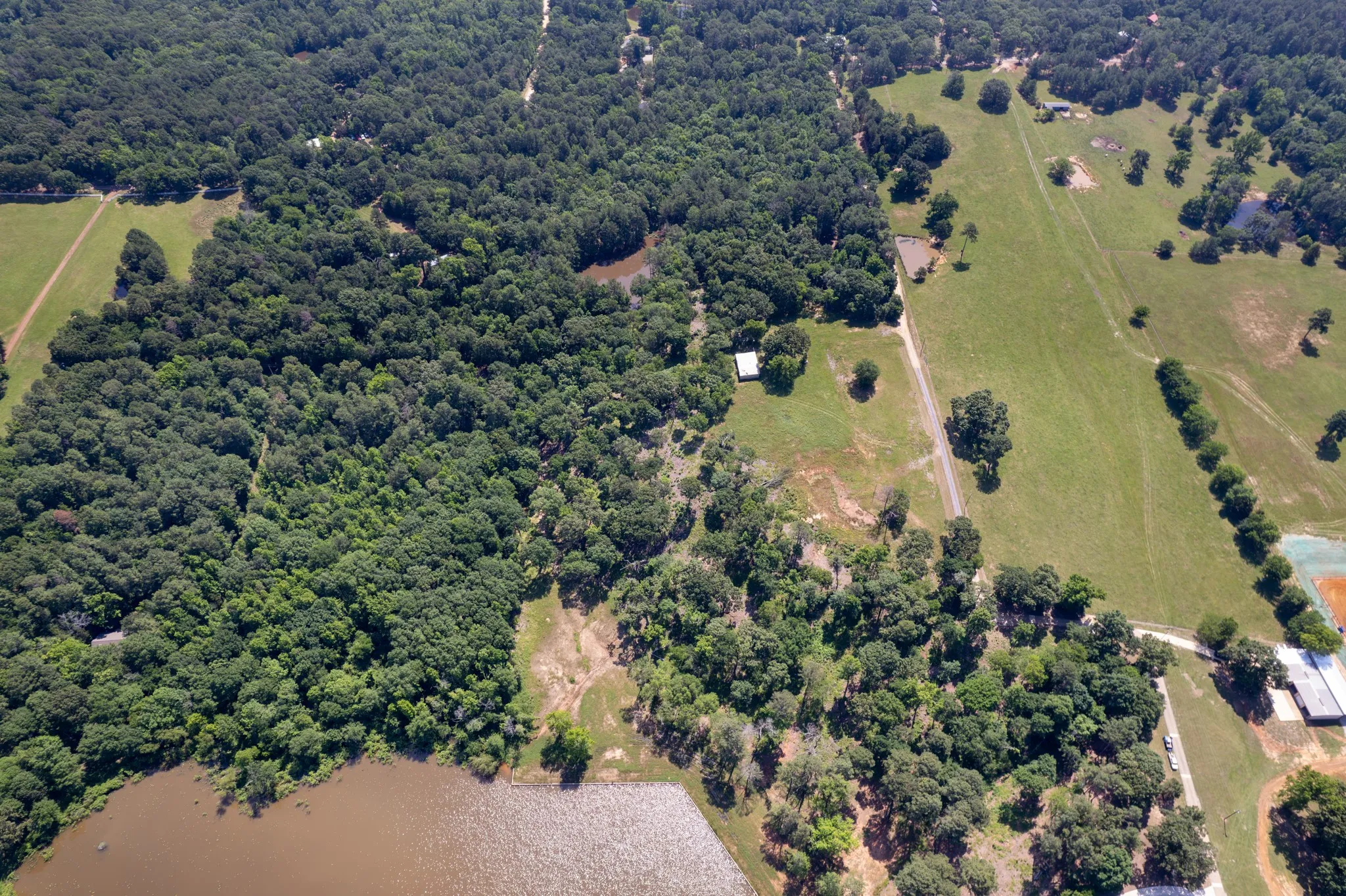 Unimproved Land For Sale in Camp County , 562 CR 2421, Leesburg, Texas 75451, 0, 0, Garage spaces, 0 Sqft, built in 0, Price $995,000, mls#21279950, Real Estate Agent in Leesburg, Homes For Sale in Camp county, Homes For Sale in Leesburg, Realtor in Leesburg Texas, Real Estate Brokerage Independent Realty Texas, Luminita Cordes Realtor