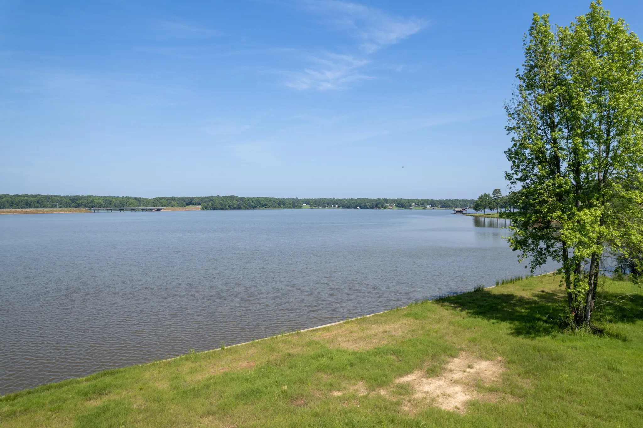Unimproved Land For Sale in Camp County , 562 CR 2421, Leesburg, Texas 75451, 0, 0, Garage spaces, 0 Sqft, built in 0, Price $995,000, mls#21279950, Real Estate Agent in Leesburg, Homes For Sale in Camp county, Homes For Sale in Leesburg, Realtor in Leesburg Texas, Real Estate Brokerage Independent Realty Texas, Luminita Cordes Realtor