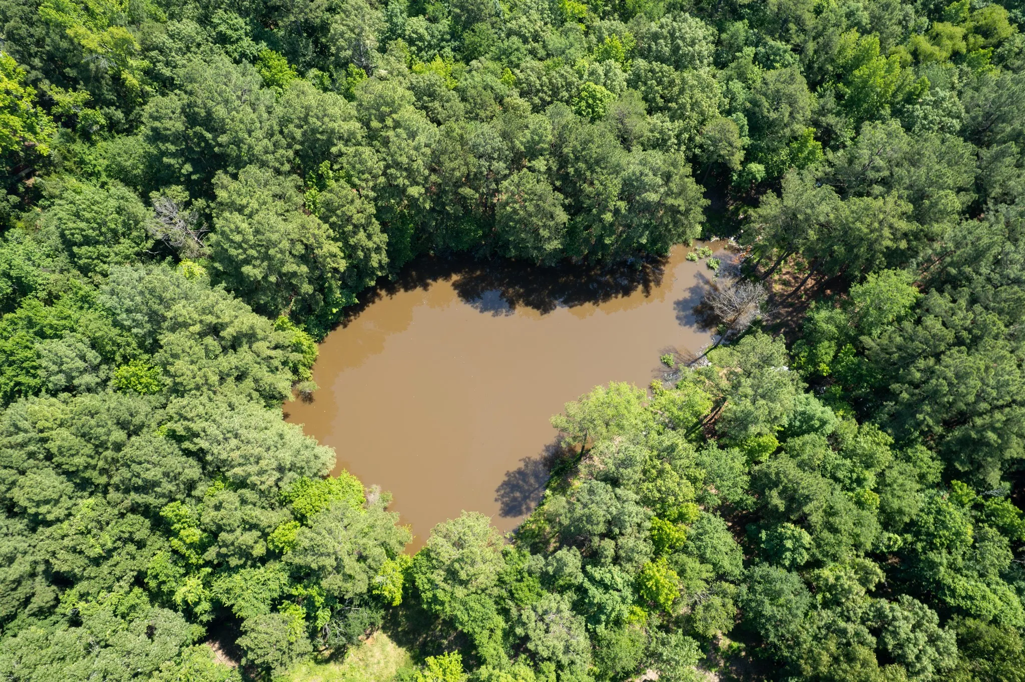 Unimproved Land For Sale in Camp County , 562 CR 2421, Leesburg, Texas 75451, 0, 0, Garage spaces, 0 Sqft, built in 0, Price $995,000, mls#21279950, Real Estate Agent in Leesburg, Homes For Sale in Camp county, Homes For Sale in Leesburg, Realtor in Leesburg Texas, Real Estate Brokerage Independent Realty Texas, Luminita Cordes Realtor