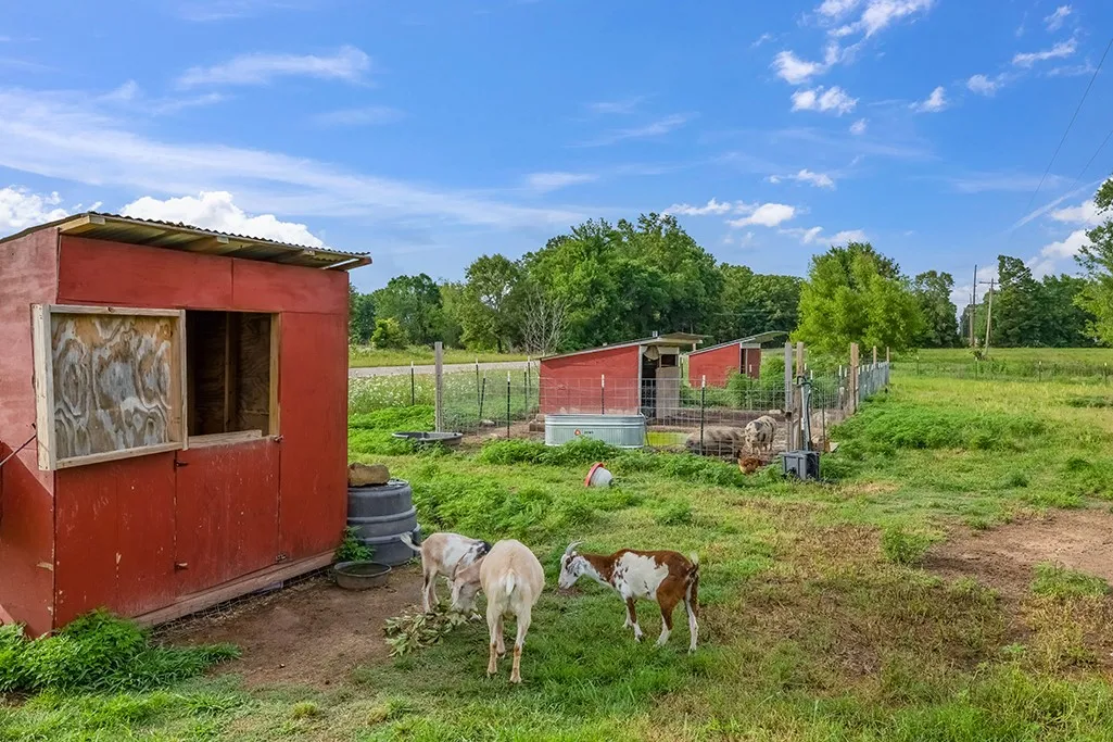 Single Family Residence For Sale in Bowie County , 4798 County Road 4235, De Kalb, Texas 75559, 3 Bedroom, 2 Bathroom, 1 Garage spaces, 1,640 Sqft, built in 2007, mls#21279926, Real Estate Agent in De Kalb, Homes For Sale in Bowie county, Homes For Sale in De Kalb, Realtor in De Kalb Texas, Real Estate Brokerage Independent Realty Texas, Luminita Cordes Realtor