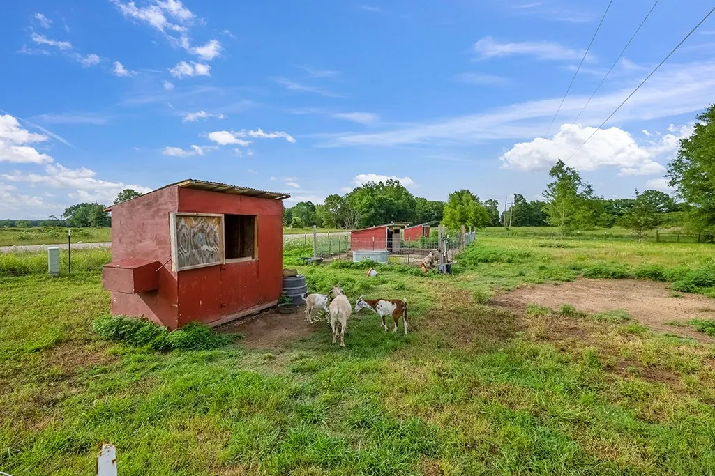Single Family Residence For Sale in Bowie County , 4798 County Road 4235, De Kalb, Texas 75559, 3 Bedroom, 2 Bathroom, 1 Garage spaces, 1,640 Sqft, built in 2007, mls#21279926, Real Estate Agent in De Kalb, Homes For Sale in Bowie county, Homes For Sale in De Kalb, Realtor in De Kalb Texas, Real Estate Brokerage Independent Realty Texas, Luminita Cordes Realtor
