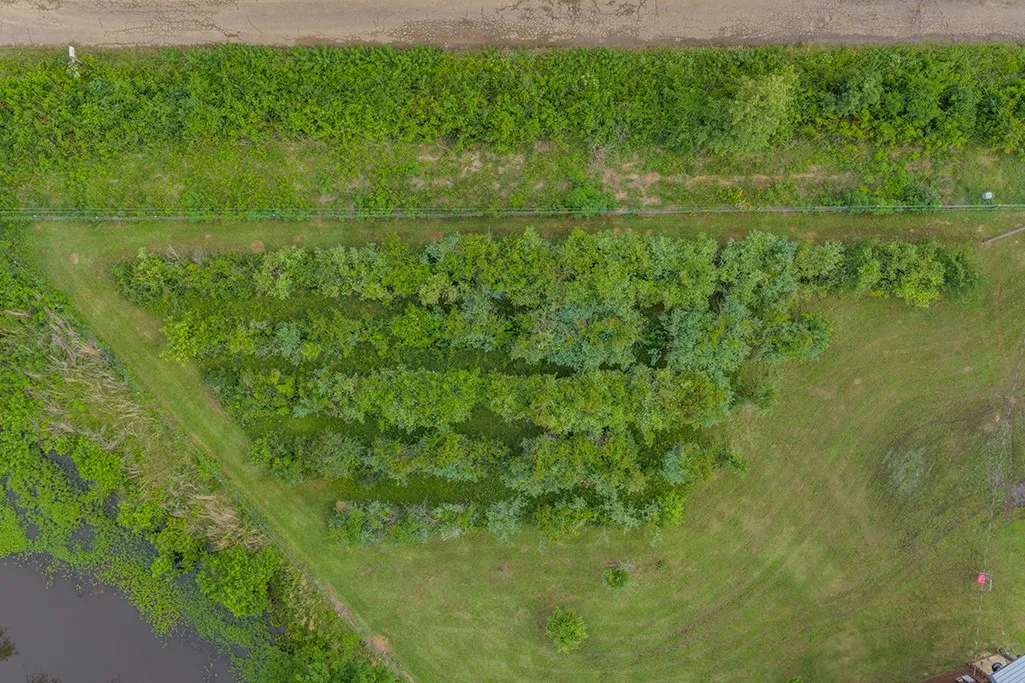 Single Family Residence For Sale in Bowie County , 4798 County Road 4235, De Kalb, Texas 75559, 3 Bedroom, 2 Bathroom, 1 Garage spaces, 1,640 Sqft, built in 2007, mls#21279926, Real Estate Agent in De Kalb, Homes For Sale in Bowie county, Homes For Sale in De Kalb, Realtor in De Kalb Texas, Real Estate Brokerage Independent Realty Texas, Luminita Cordes Realtor