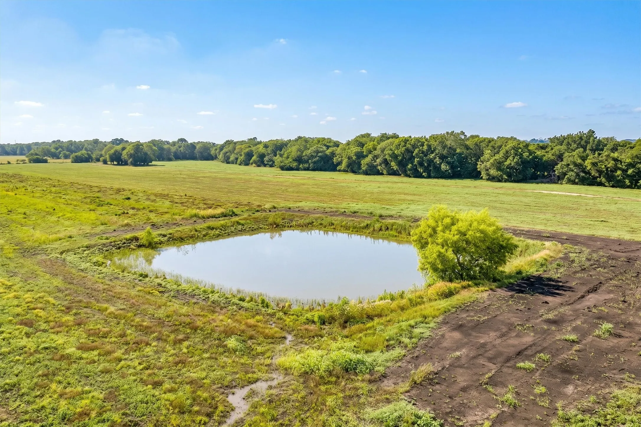 Expansive agricultural acreage featuring a large pond and mature perimeter trees