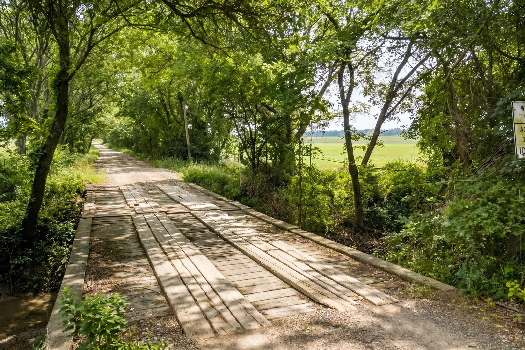 Gravel road bordered by lush mature trees, featuring a wooden plank bridge over a small stream