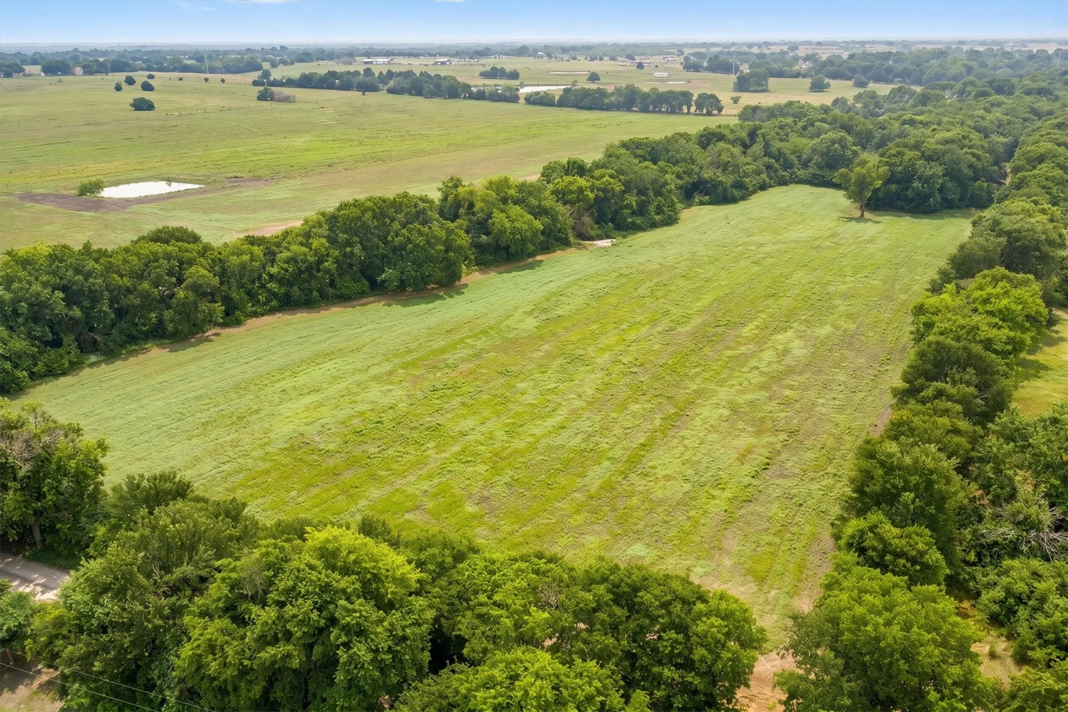Expansive land parcel featuring open fields and mature tree lines