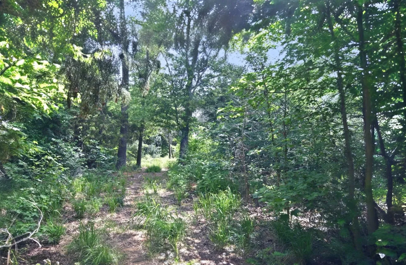 Unimproved Land For Sale in Wood County , Lot 11 Bois D, Yantis, Texas 75497, 0, 0, Garage spaces, 0 Sqft, built in 0, Price $399,000, mls#21276303, Real Estate Agent in Yantis, Homes For Sale in Wood county, Homes For Sale in Yantis, Realtor in Yantis Texas, Real Estate Brokerage Independent Realty Texas, Luminita Cordes Realtor