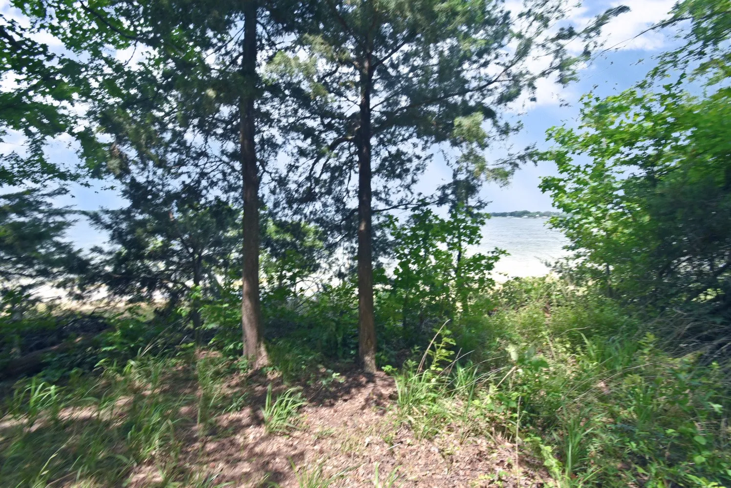 Unimproved Land For Sale in Wood County , Lot 11 Bois D, Yantis, Texas 75497, 0, 0, Garage spaces, 0 Sqft, built in 0, Price $399,000, mls#21276303, Real Estate Agent in Yantis, Homes For Sale in Wood county, Homes For Sale in Yantis, Realtor in Yantis Texas, Real Estate Brokerage Independent Realty Texas, Luminita Cordes Realtor