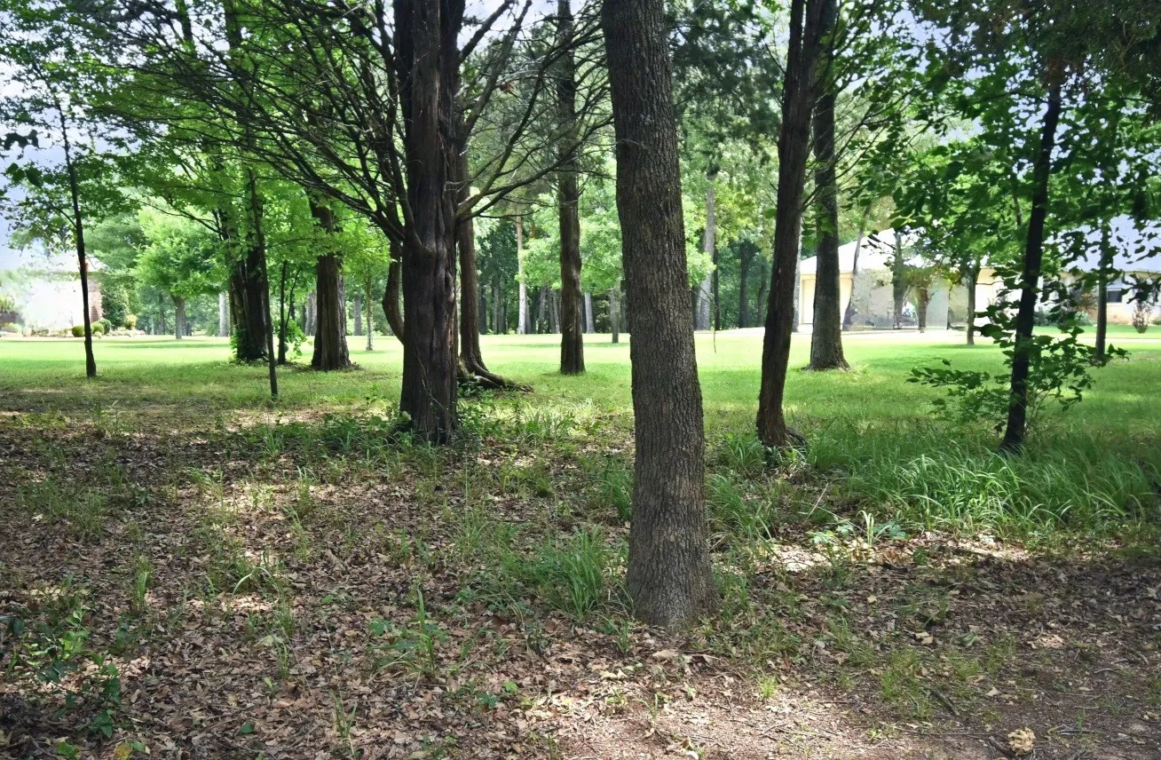 Unimproved Land For Sale in Wood County , Lot 11 Bois D, Yantis, Texas 75497, 0, 0, Garage spaces, 0 Sqft, built in 0, Price $399,000, mls#21276303, Real Estate Agent in Yantis, Homes For Sale in Wood county, Homes For Sale in Yantis, Realtor in Yantis Texas, Real Estate Brokerage Independent Realty Texas, Luminita Cordes Realtor