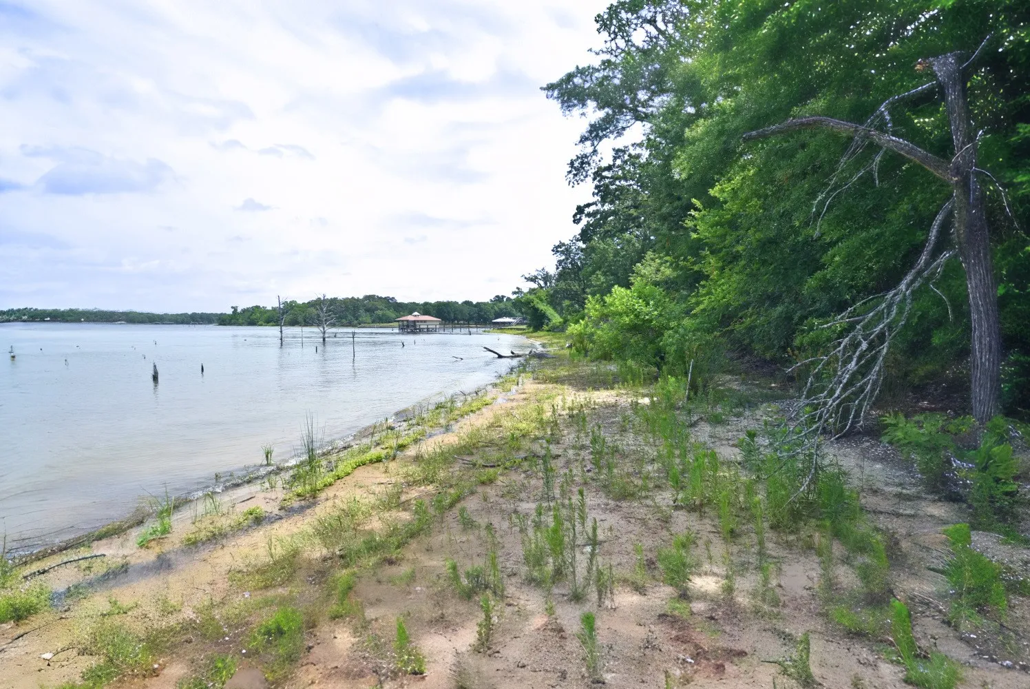 Unimproved Land For Sale in Wood County , Lot 11 Bois D, Yantis, Texas 75497, 0, 0, Garage spaces, 0 Sqft, built in 0, Price $399,000, mls#21276303, Real Estate Agent in Yantis, Homes For Sale in Wood county, Homes For Sale in Yantis, Realtor in Yantis Texas, Real Estate Brokerage Independent Realty Texas, Luminita Cordes Realtor