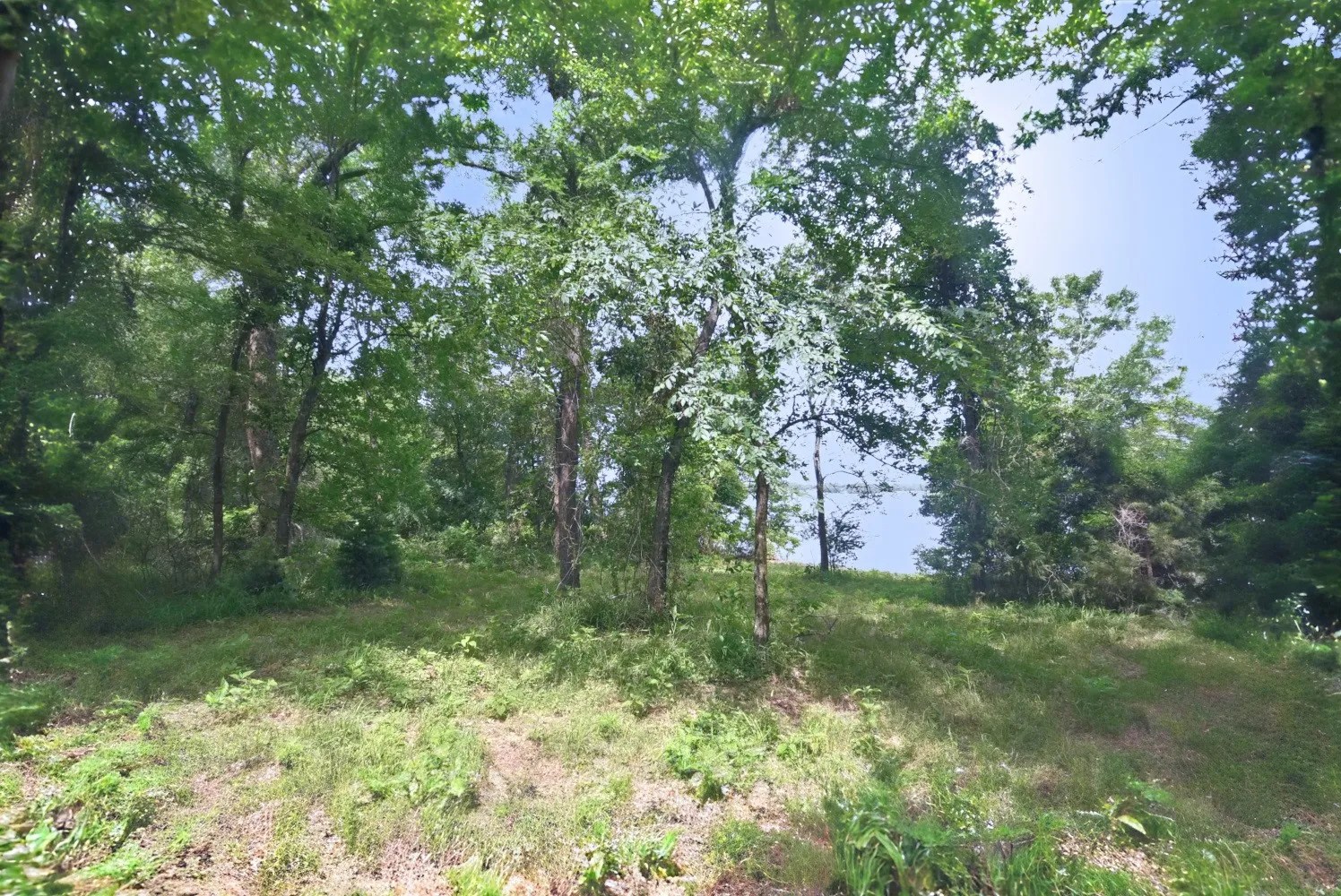 Unimproved Land For Sale in Wood County , Lot 11 Bois D, Yantis, Texas 75497, 0, 0, Garage spaces, 0 Sqft, built in 0, Price $399,000, mls#21276303, Real Estate Agent in Yantis, Homes For Sale in Wood county, Homes For Sale in Yantis, Realtor in Yantis Texas, Real Estate Brokerage Independent Realty Texas, Luminita Cordes Realtor