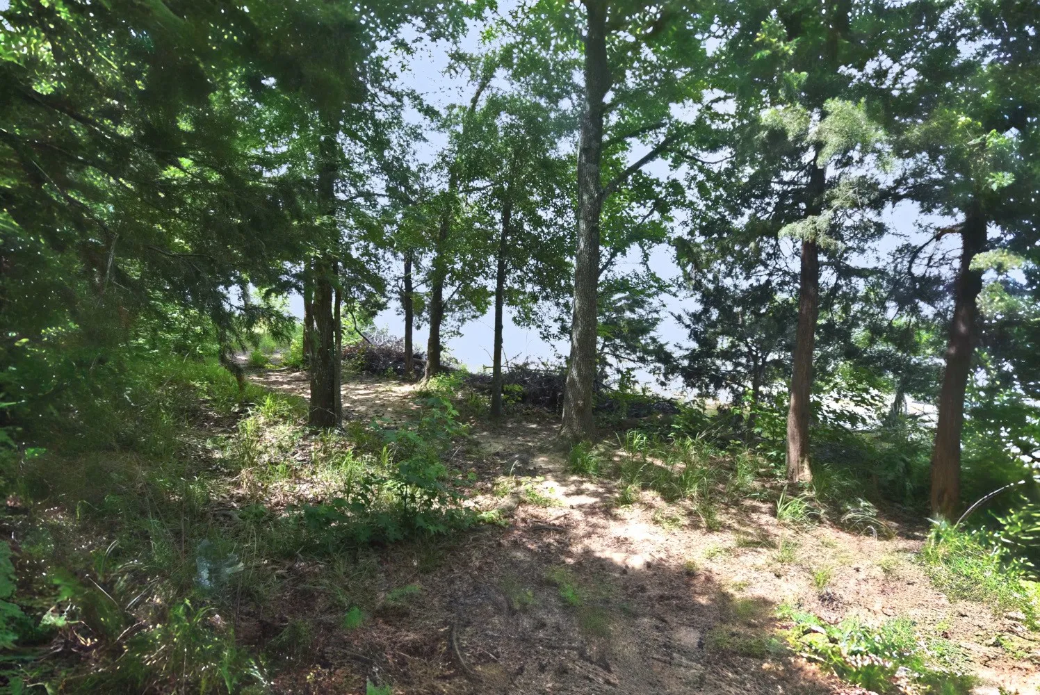 Unimproved Land For Sale in Wood County , Lot 11 Bois D, Yantis, Texas 75497, 0, 0, Garage spaces, 0 Sqft, built in 0, Price $399,000, mls#21276303, Real Estate Agent in Yantis, Homes For Sale in Wood county, Homes For Sale in Yantis, Realtor in Yantis Texas, Real Estate Brokerage Independent Realty Texas, Luminita Cordes Realtor