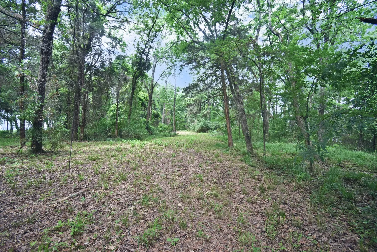 Unimproved Land For Sale in Wood County , Lot 11 Bois D, Yantis, Texas 75497, 0, 0, Garage spaces, 0 Sqft, built in 0, Price $399,000, mls#21276303, Real Estate Agent in Yantis, Homes For Sale in Wood county, Homes For Sale in Yantis, Realtor in Yantis Texas, Real Estate Brokerage Independent Realty Texas, Luminita Cordes Realtor