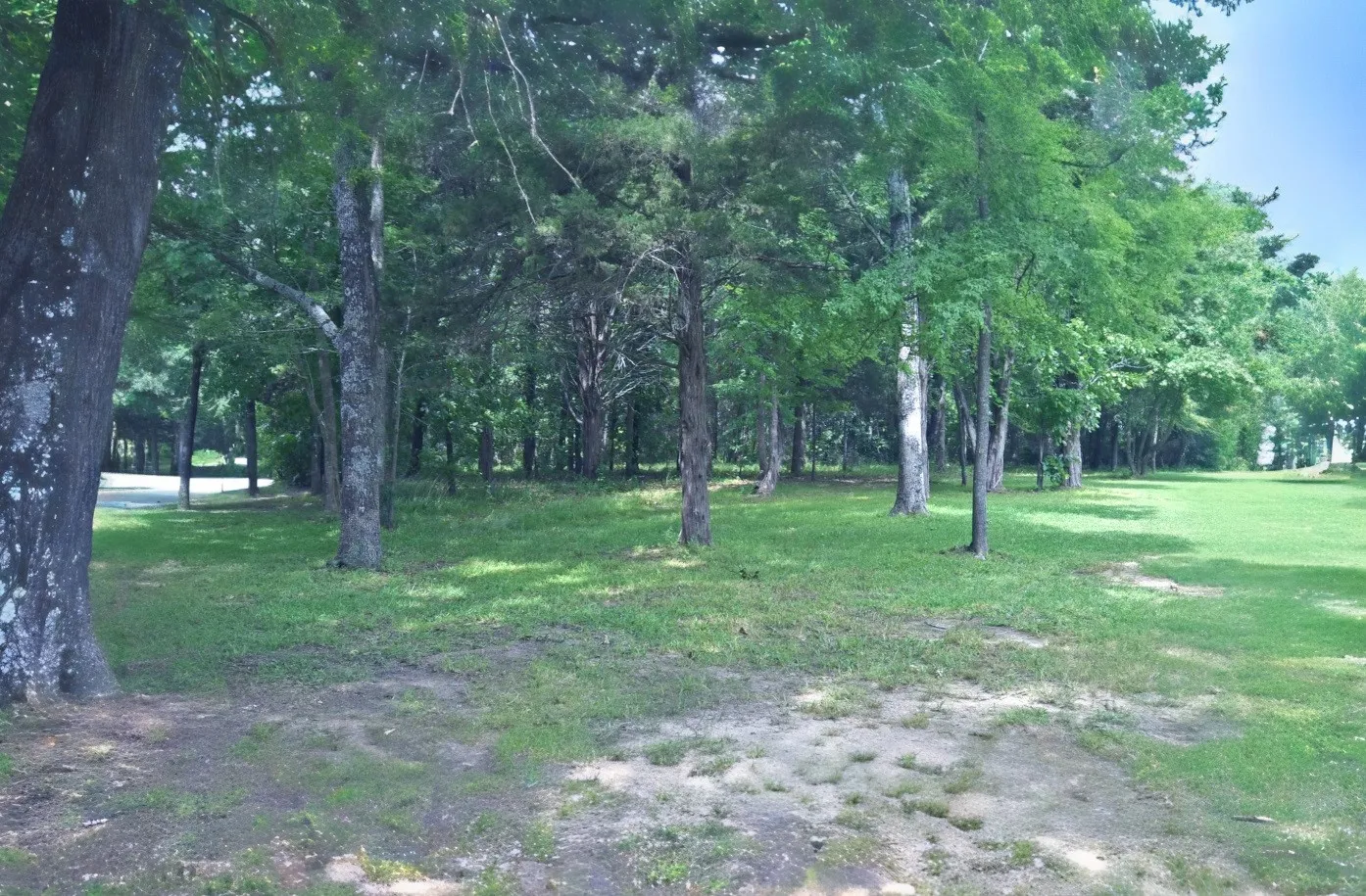 Unimproved Land For Sale in Wood County , Lot 11 Bois D, Yantis, Texas 75497, 0, 0, Garage spaces, 0 Sqft, built in 0, Price $399,000, mls#21276303, Real Estate Agent in Yantis, Homes For Sale in Wood county, Homes For Sale in Yantis, Realtor in Yantis Texas, Real Estate Brokerage Independent Realty Texas, Luminita Cordes Realtor